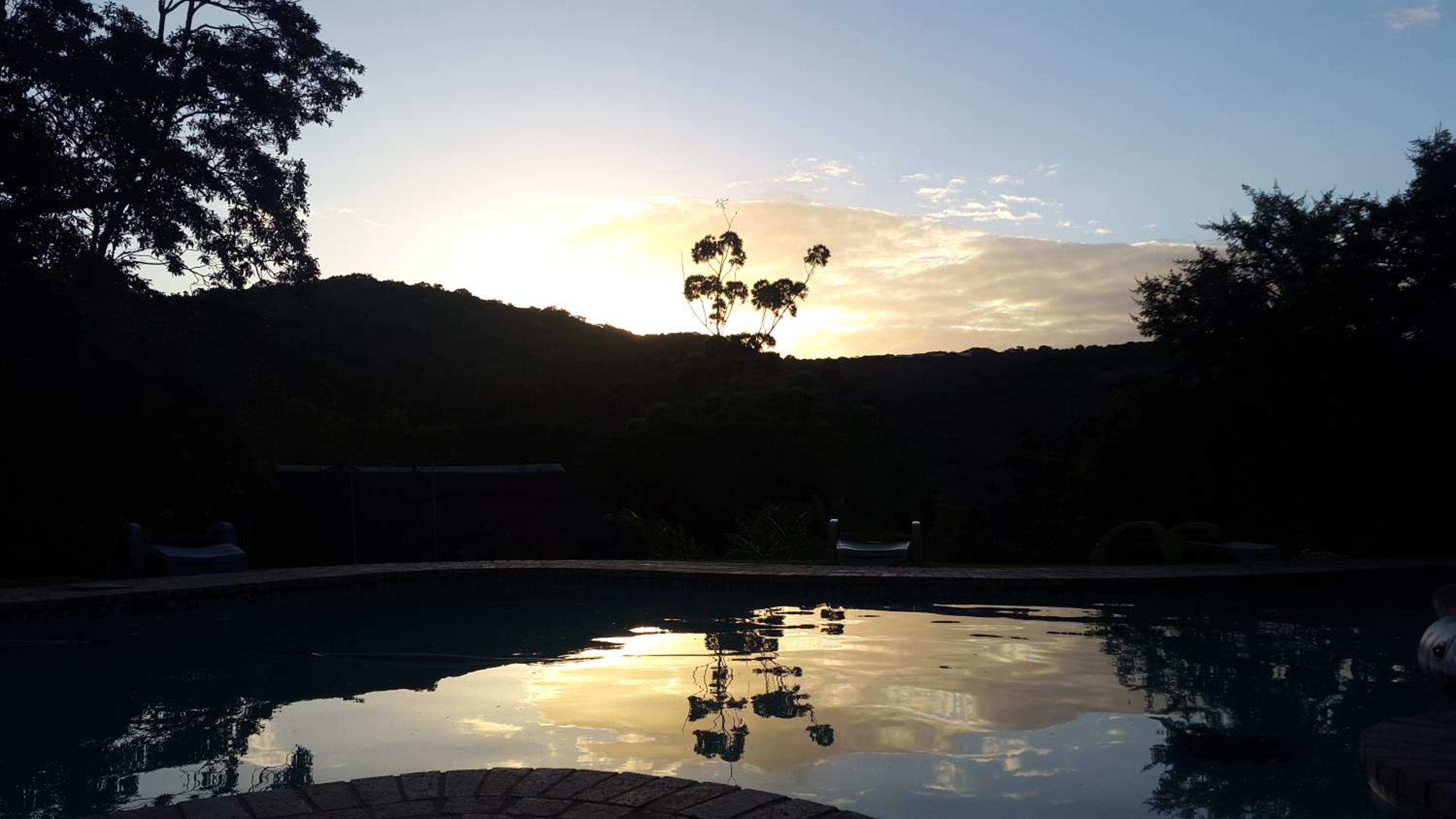 Fish Eagle Manor
