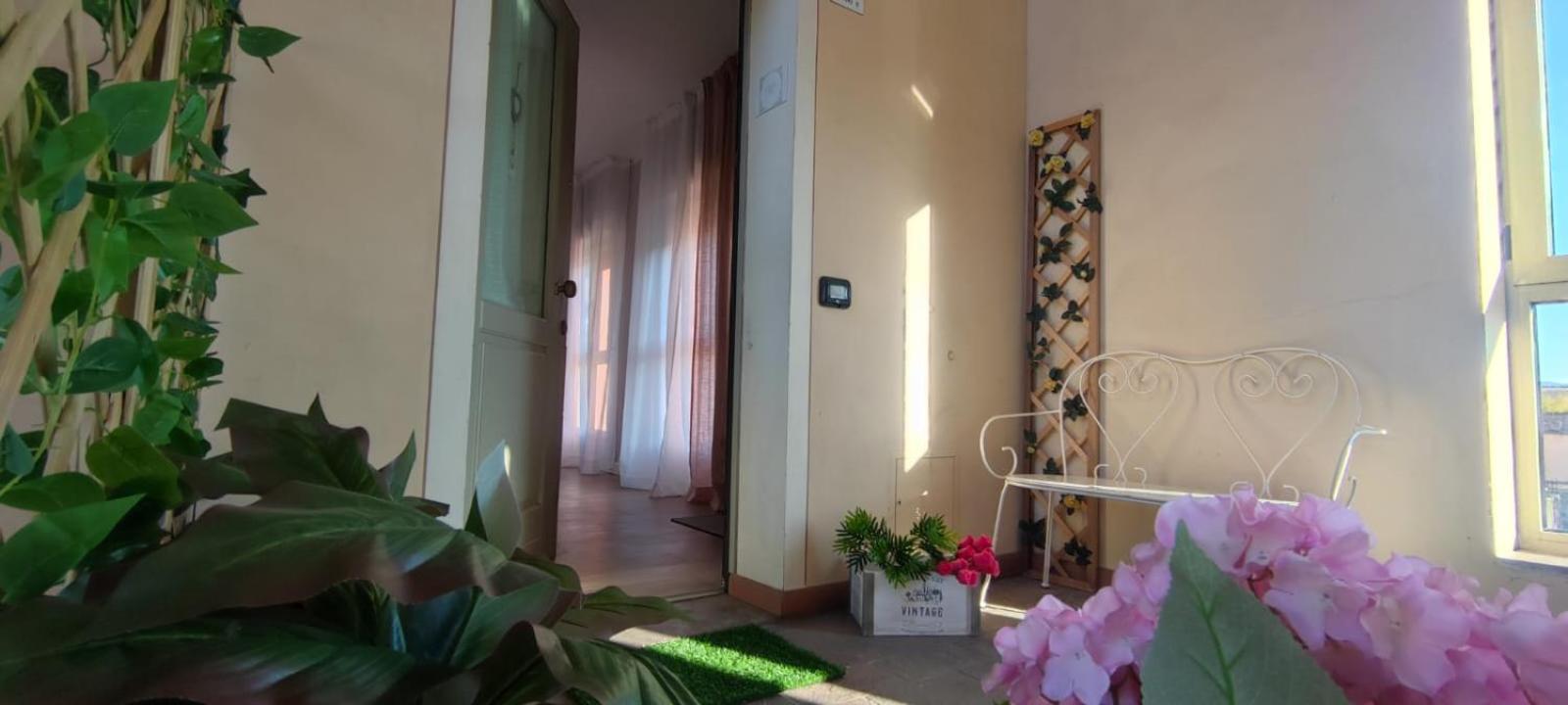 Il Tetto dei Sogni photo 3