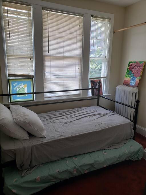 D.C.'s Brookland house Pets are Welcome! view 5