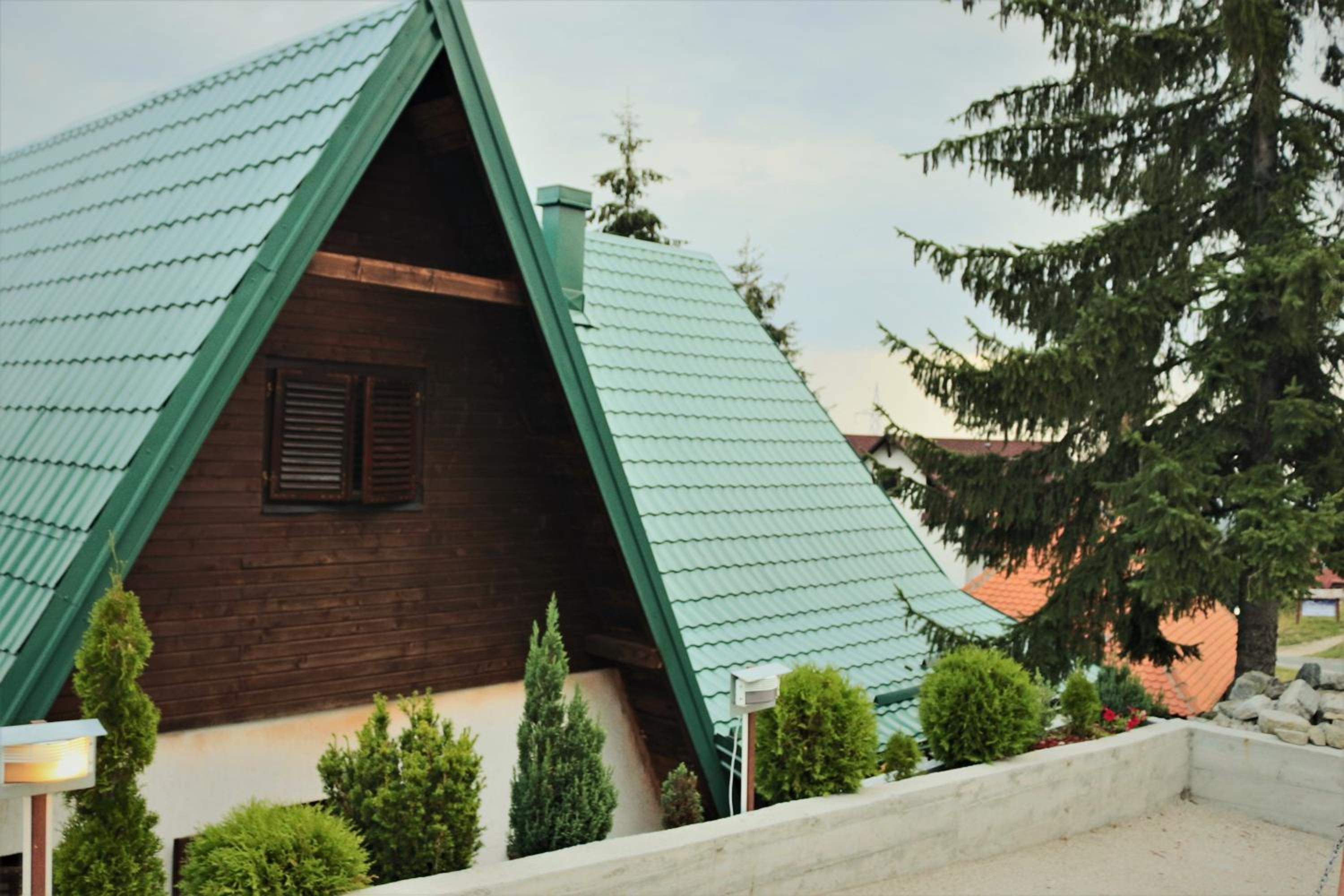 Holiday Home Dana Kopaonik view 3