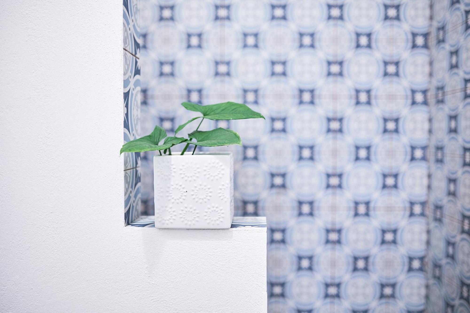 Villa Casa Azul & Arena Blanca Apartamentos