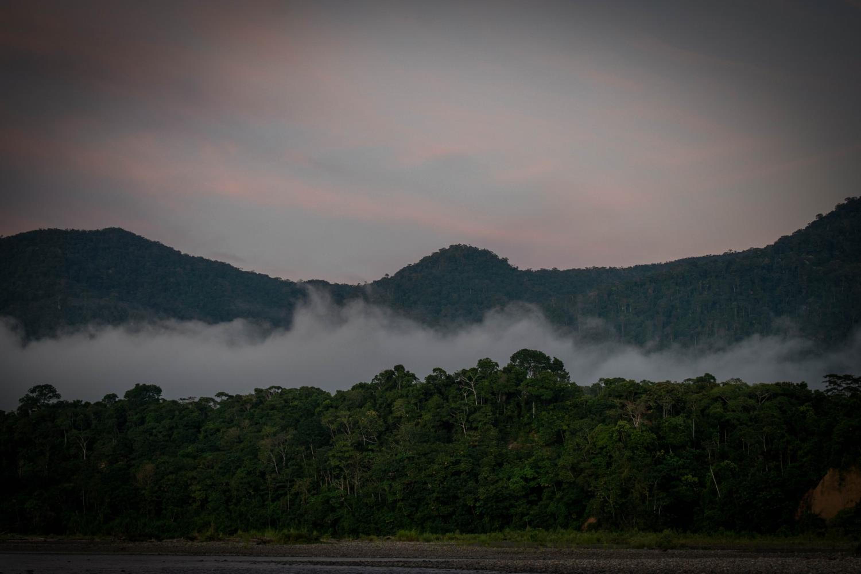 Oropendola Lodge Manu view 4