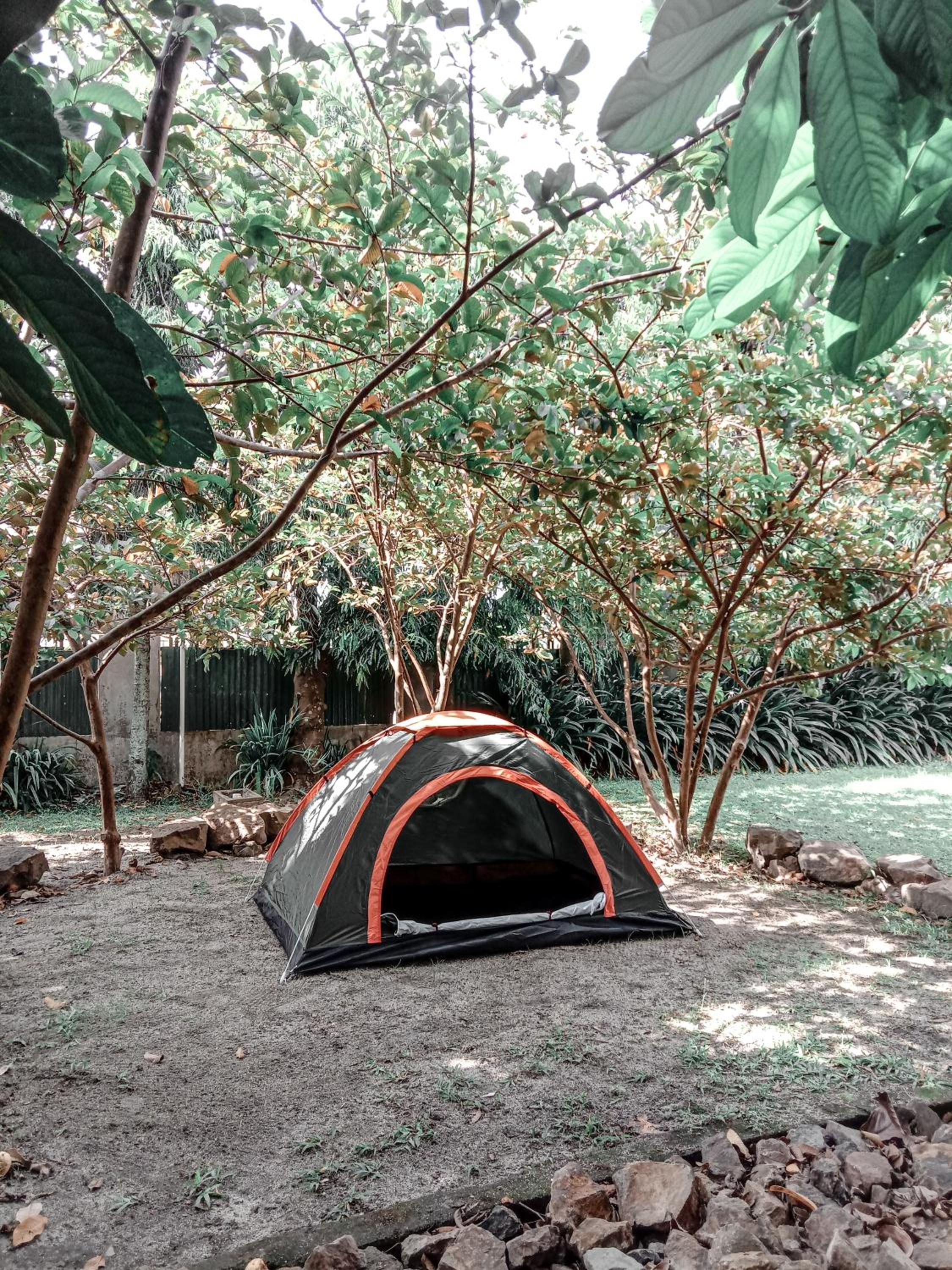 BRUSSELS HOMESTAY BALIGE
