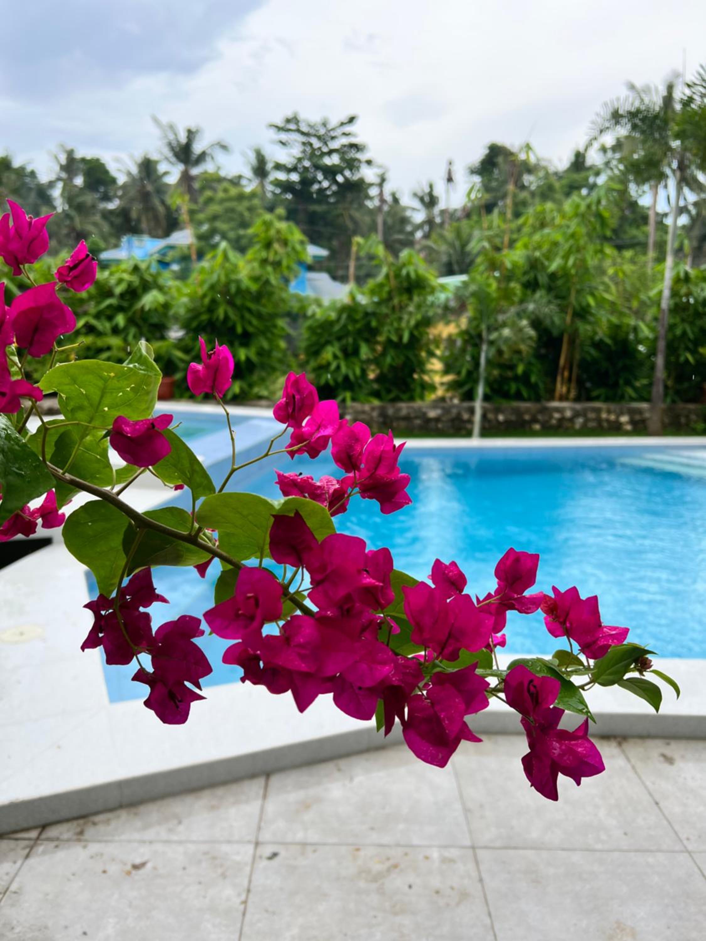 D ARC Leisure Home By The Sea view 4