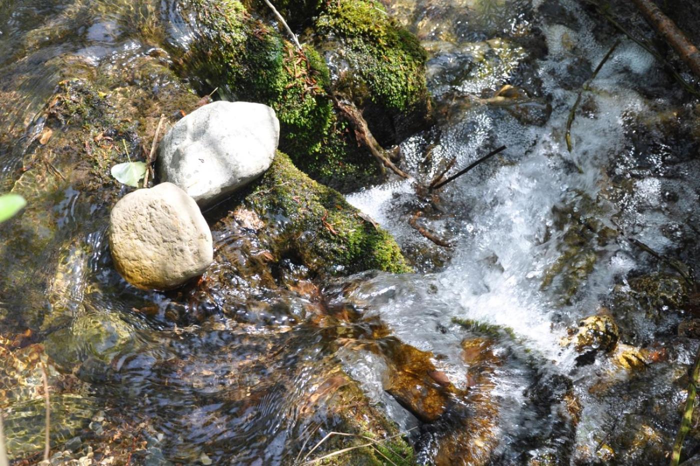 Photo 53