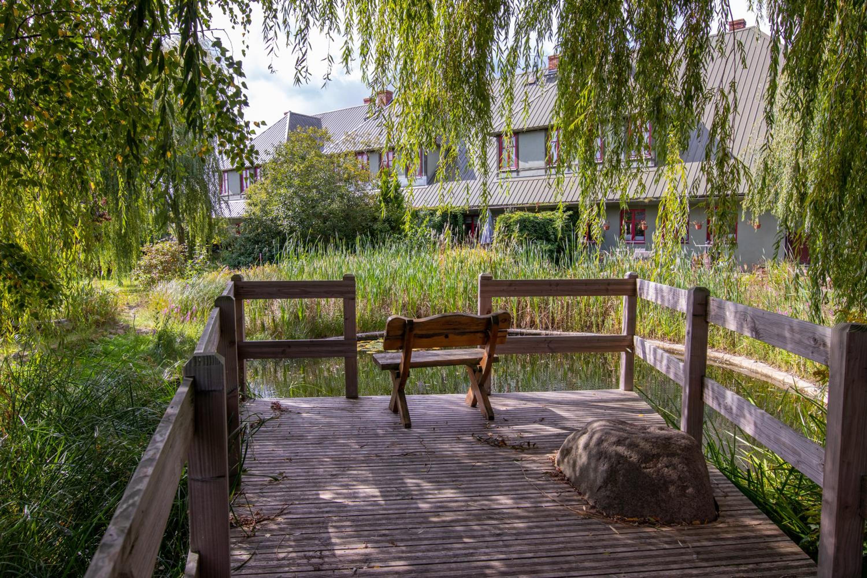 Photo 31
