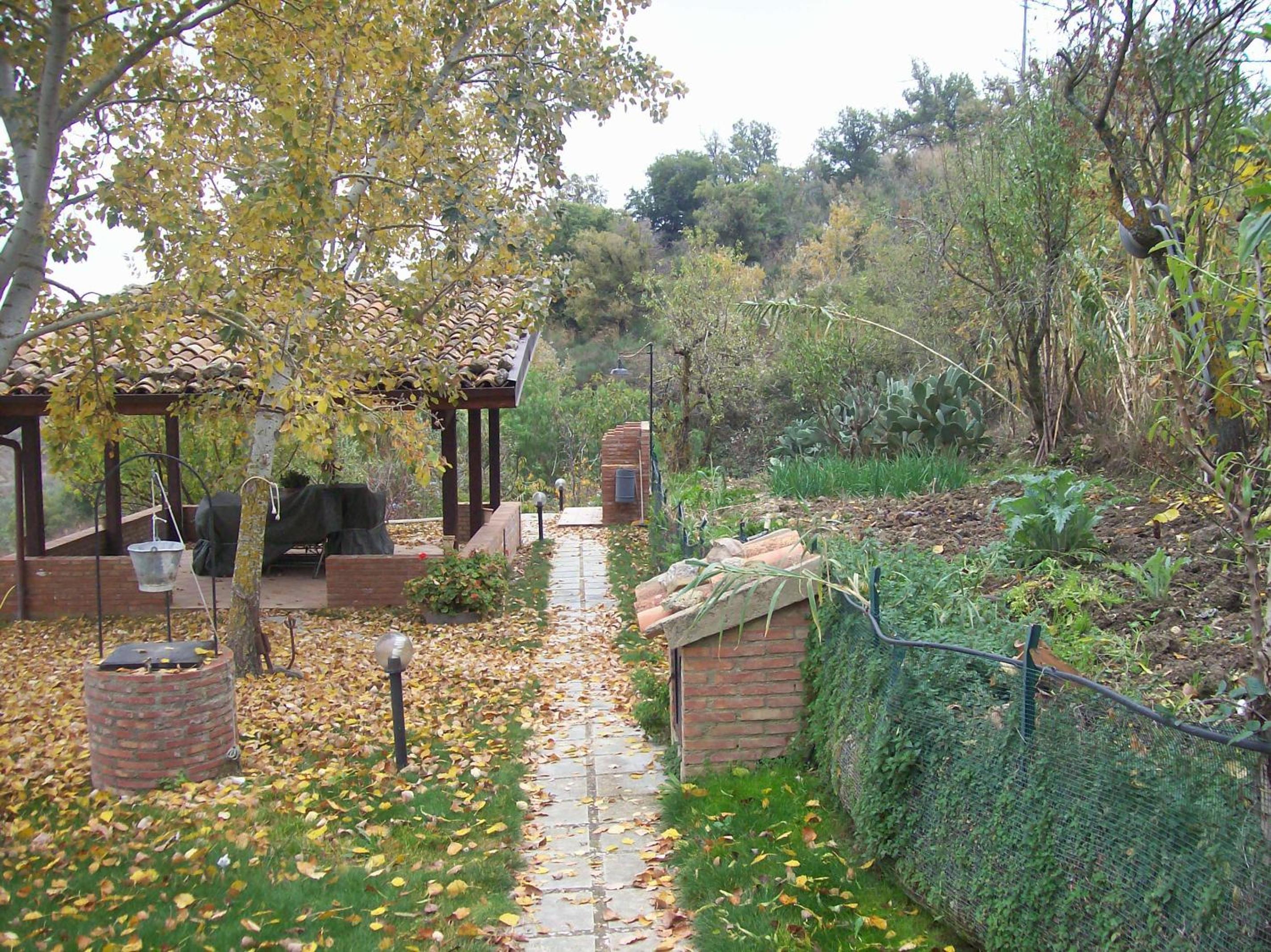 Photo 36