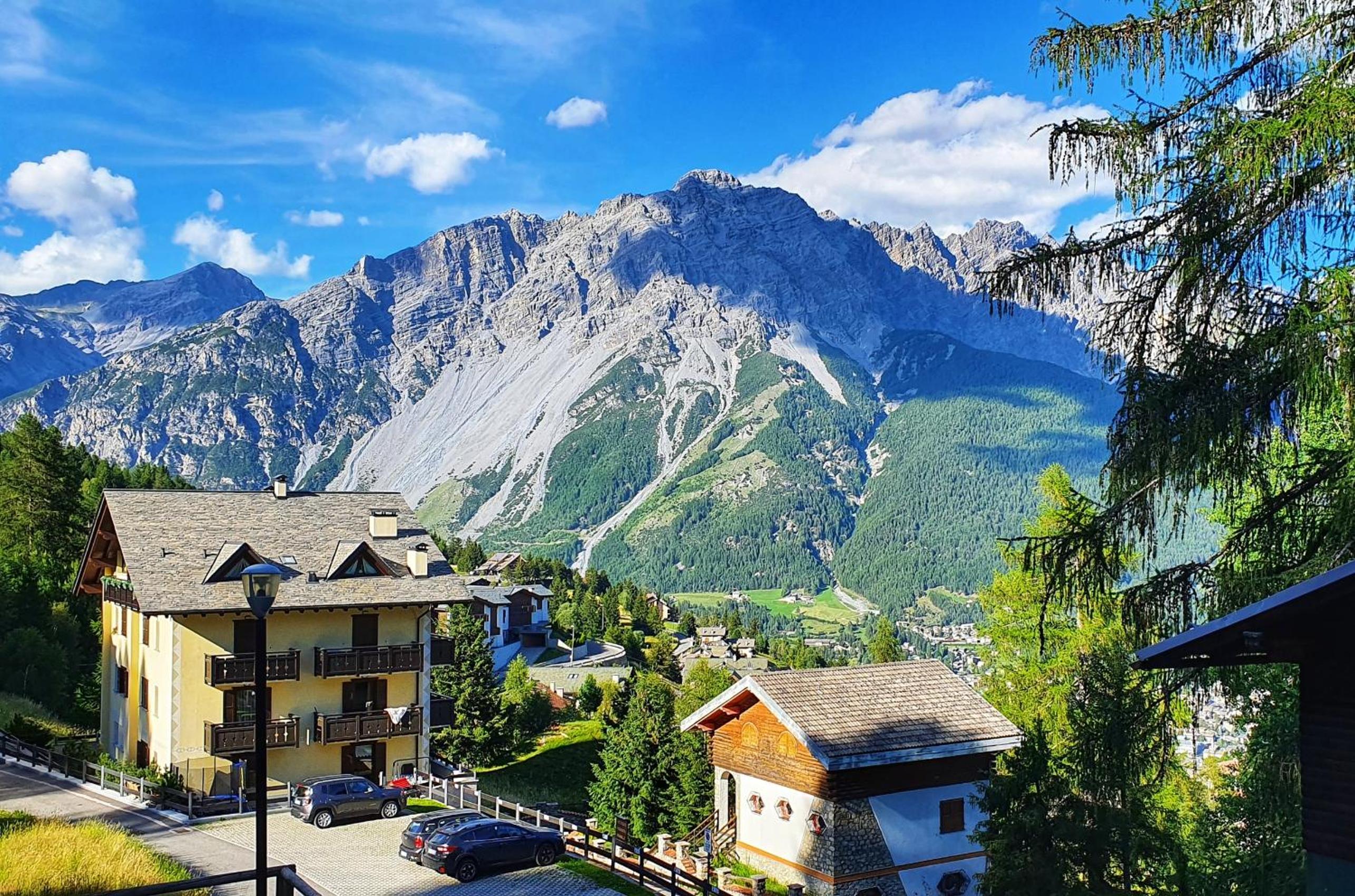 Residence Stelvio
