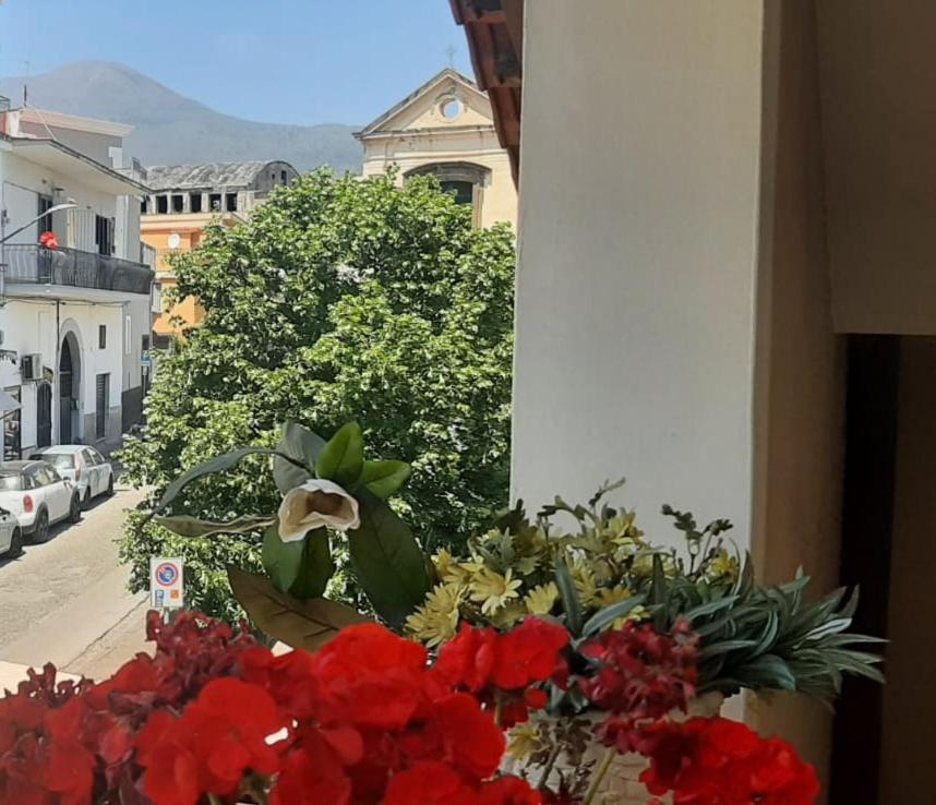 Holiday House NELLINA photo 3