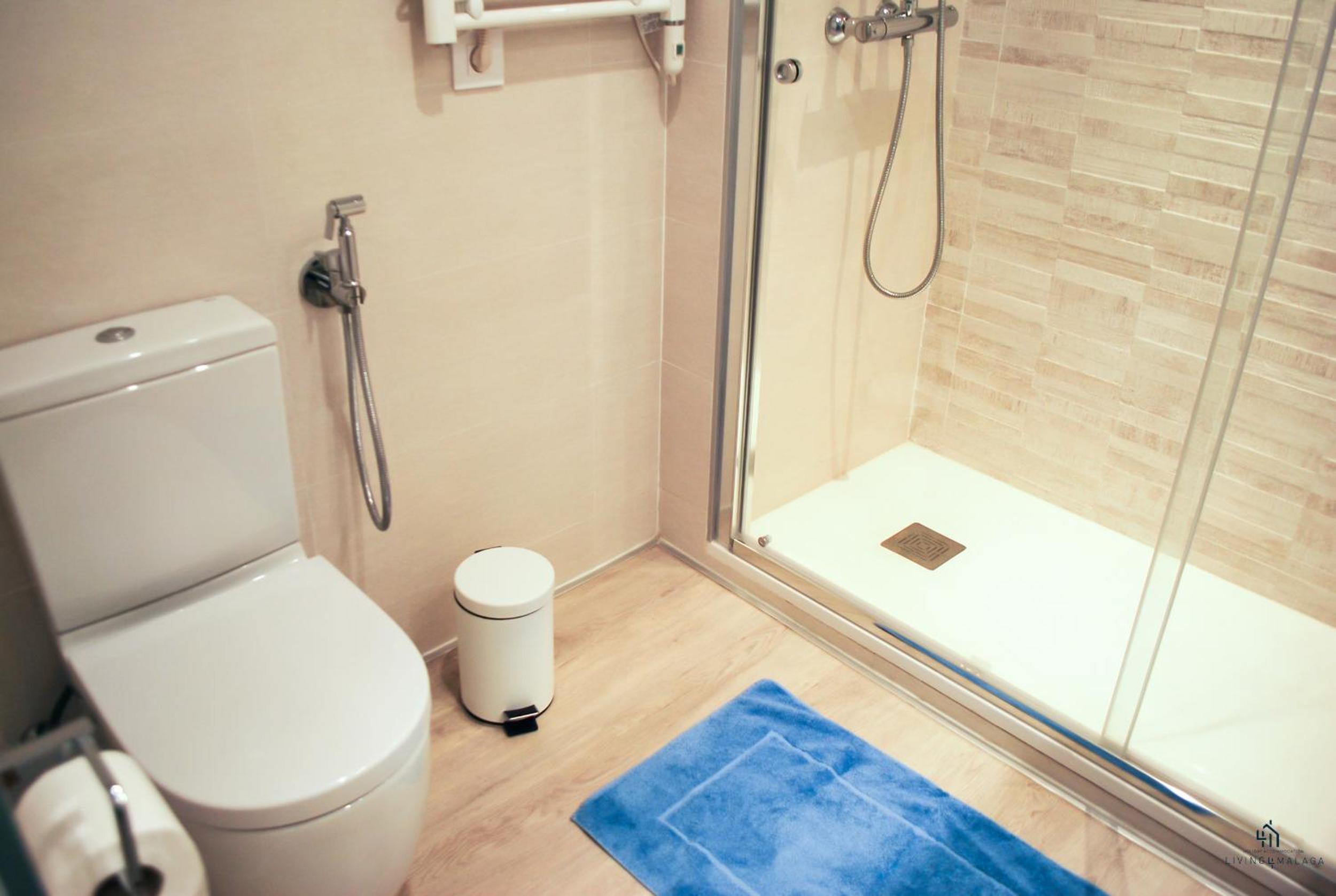 Living4Malaga Reding Superior Apartment