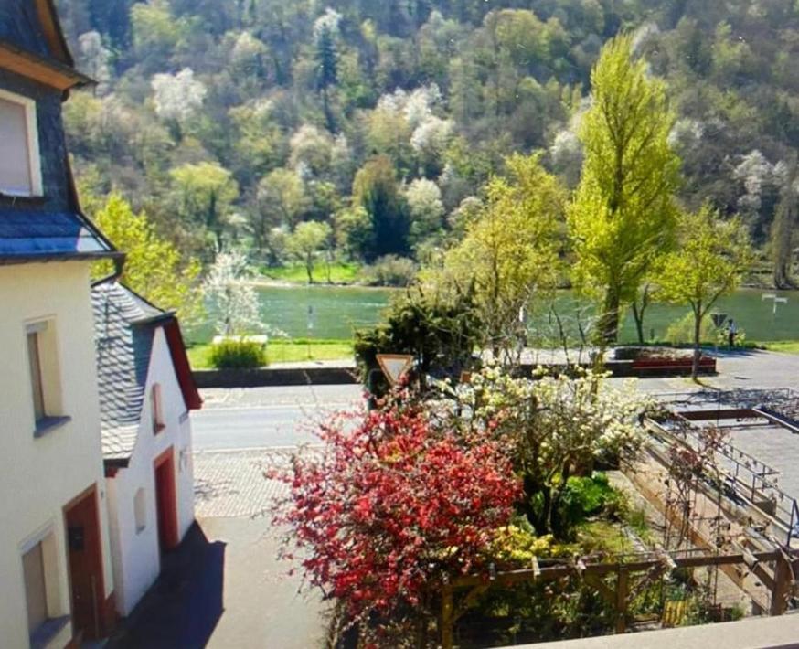 UferZeit - Dein Ankerplatz an der Mosel