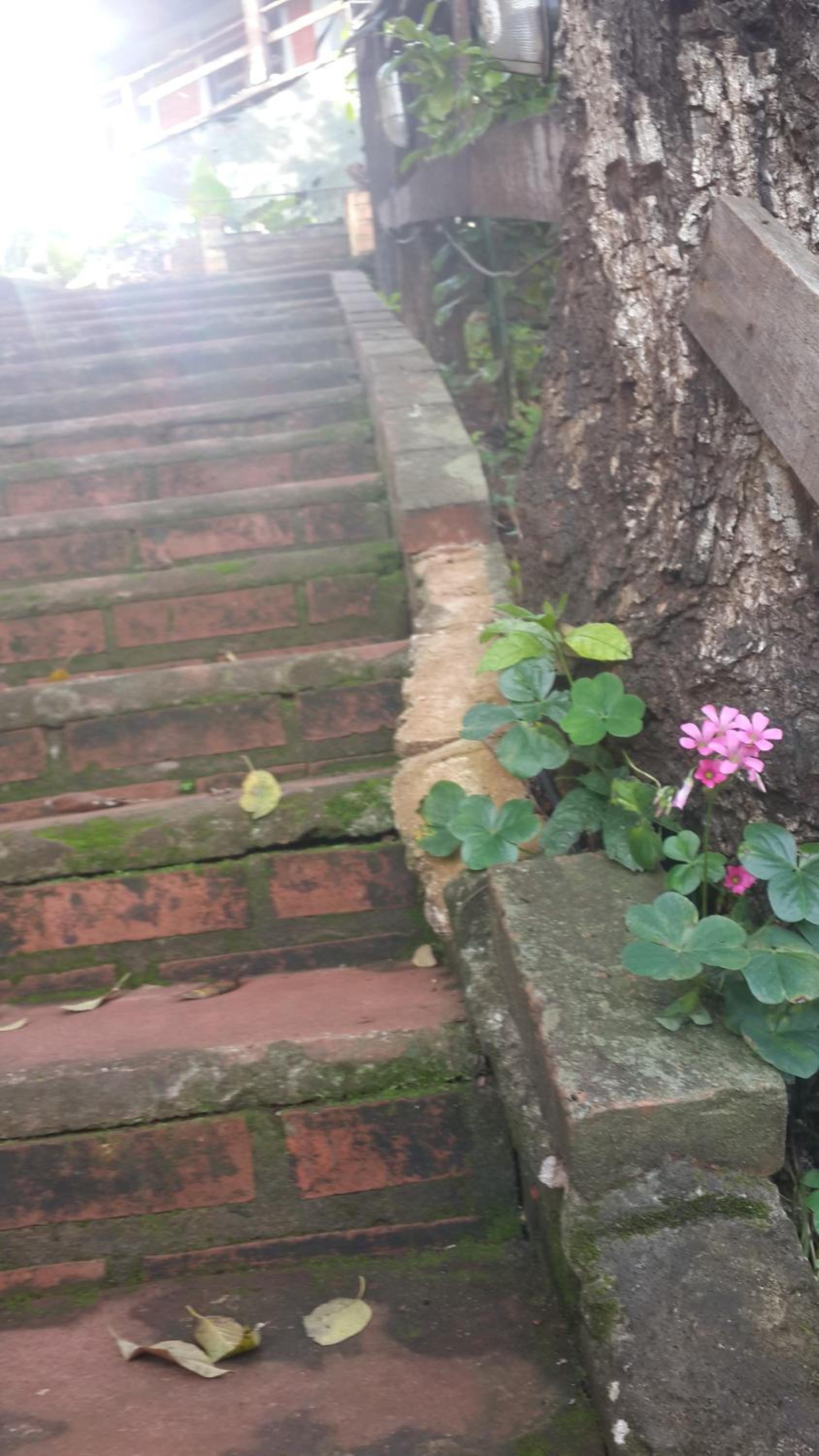 Stonewall Cottages Iguazu