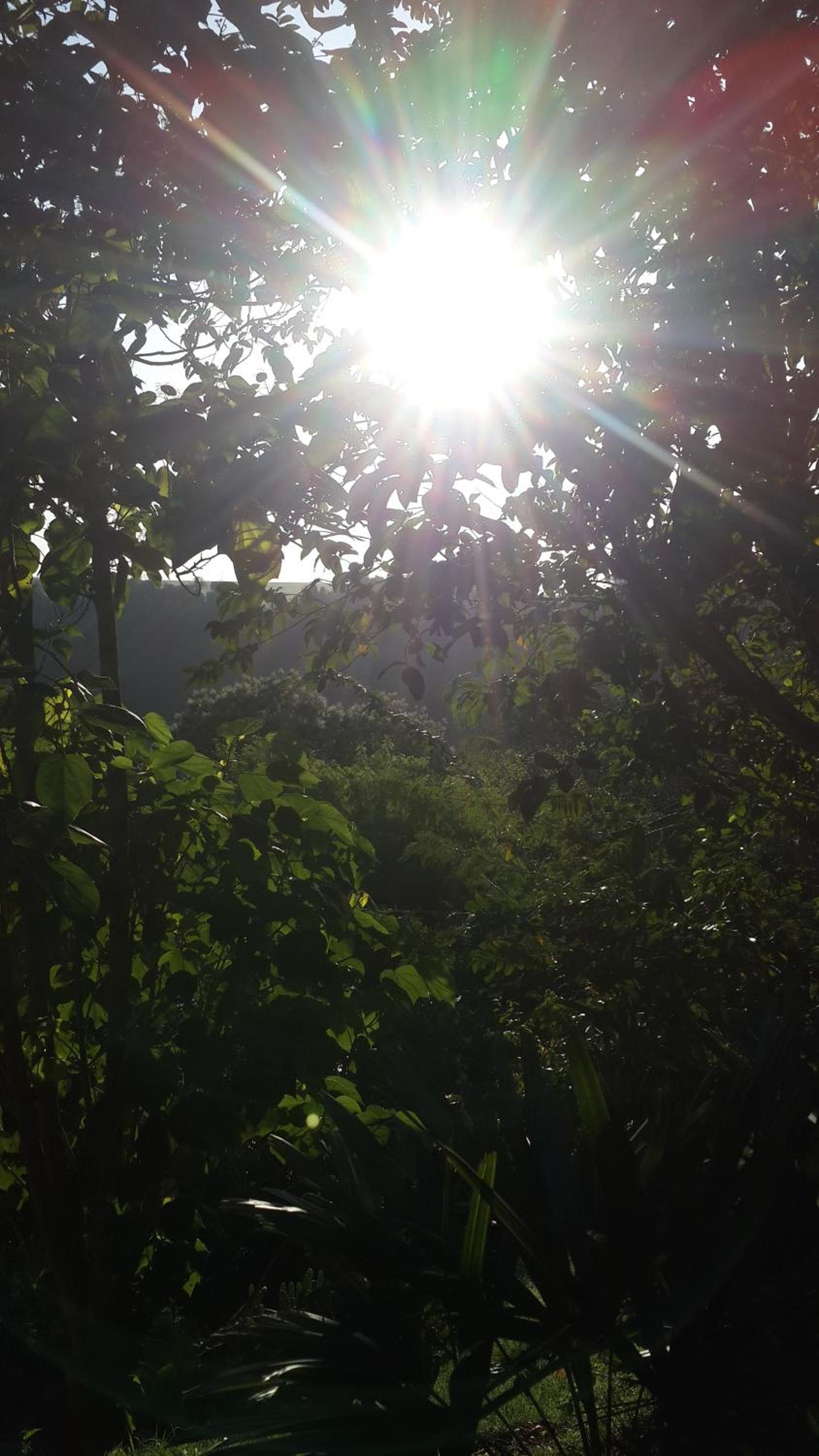 Stonewall Cottages Iguazu