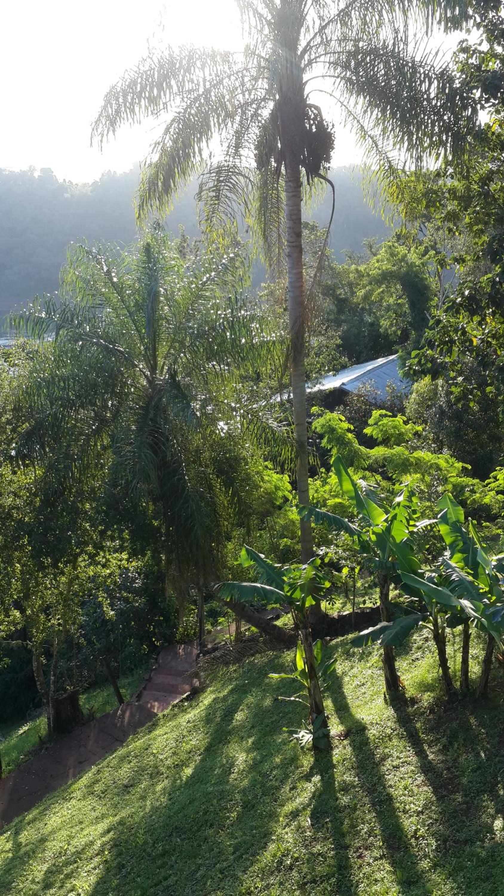 Stonewall Cottages Iguazu