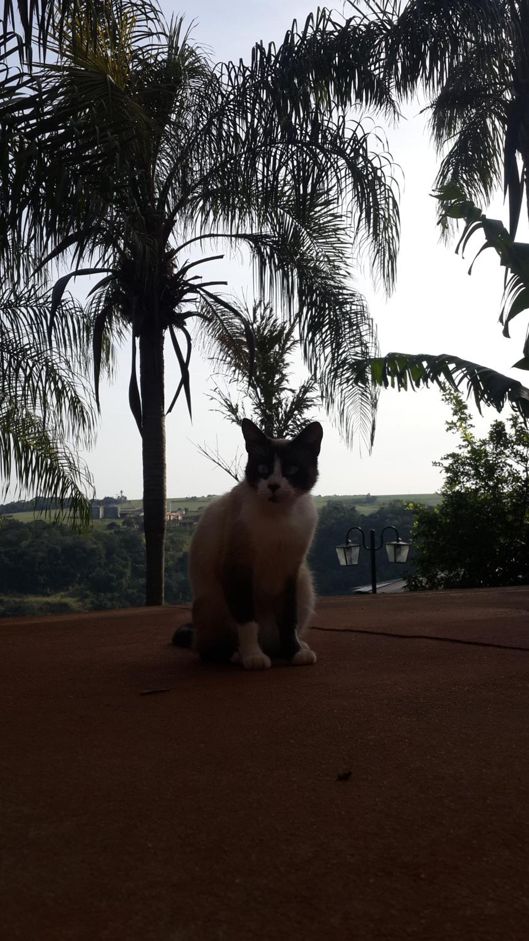 Stonewall Cottages Iguazu