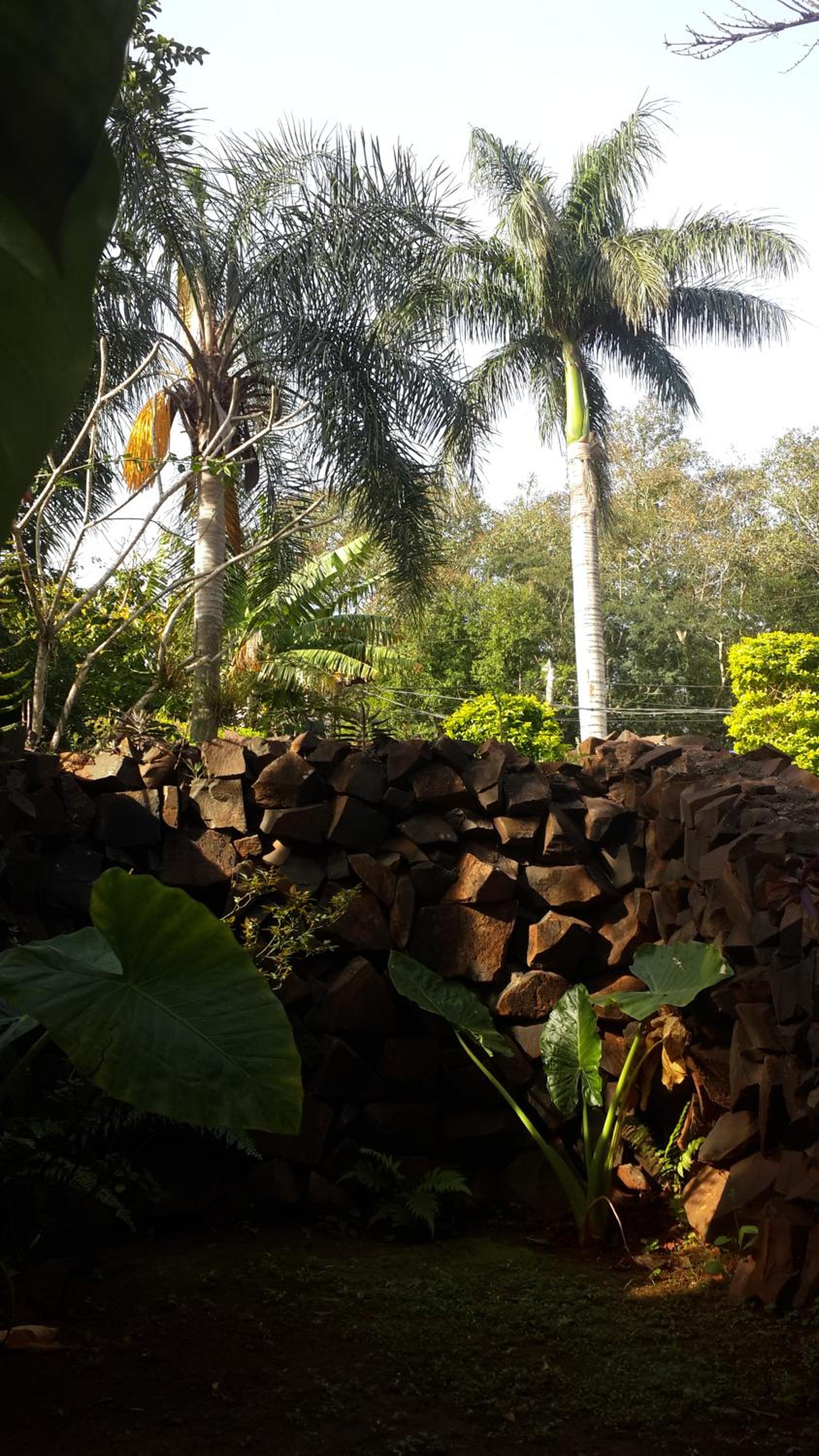 Stonewall Cottages Iguazu
