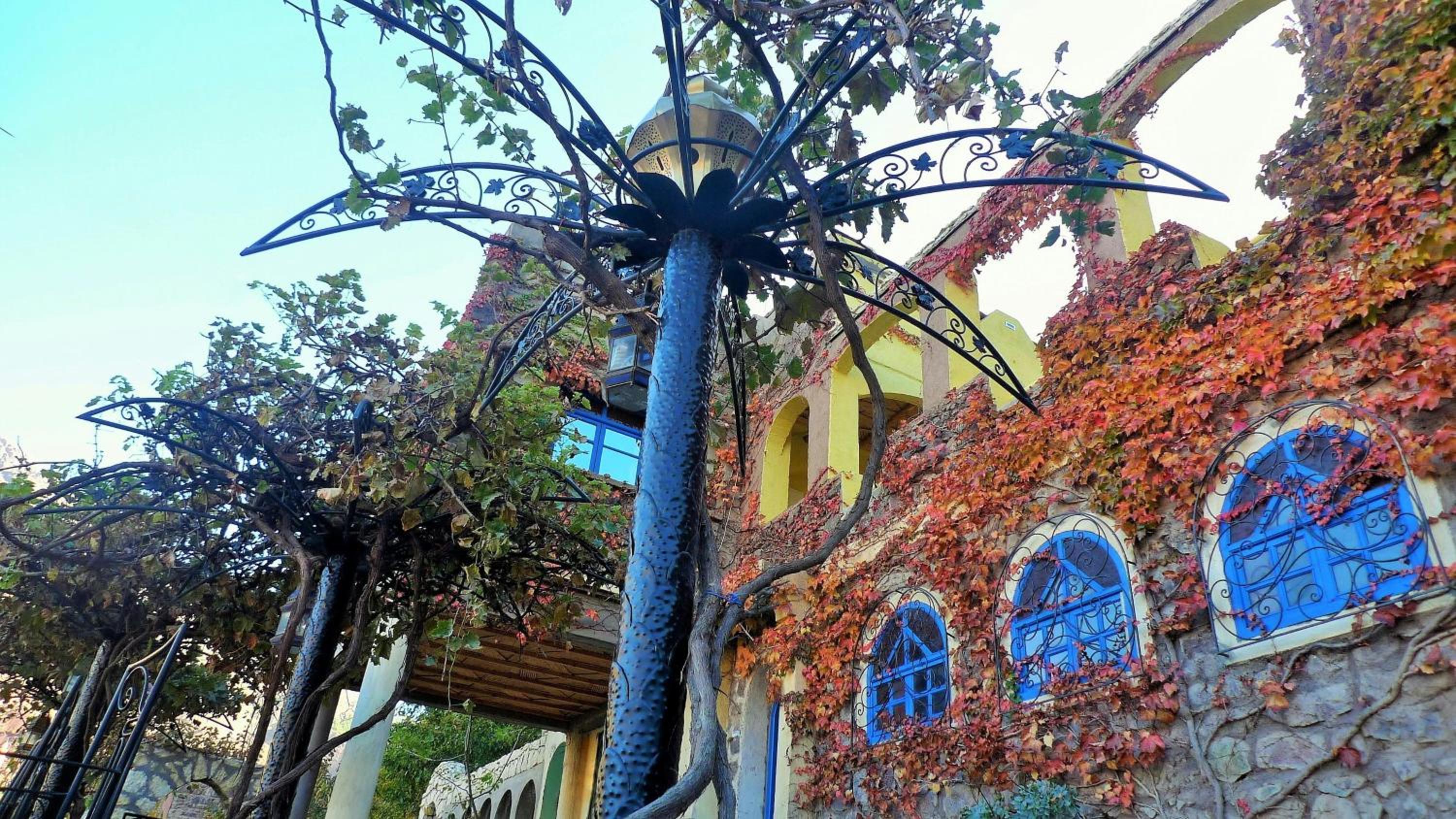 Photo 17