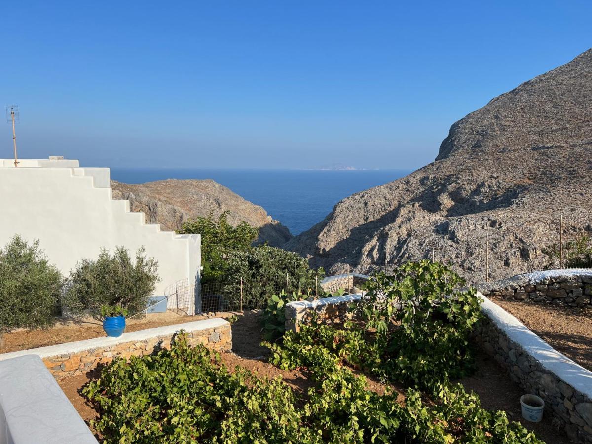 Cycladic houses in rural surrounding photo 4
