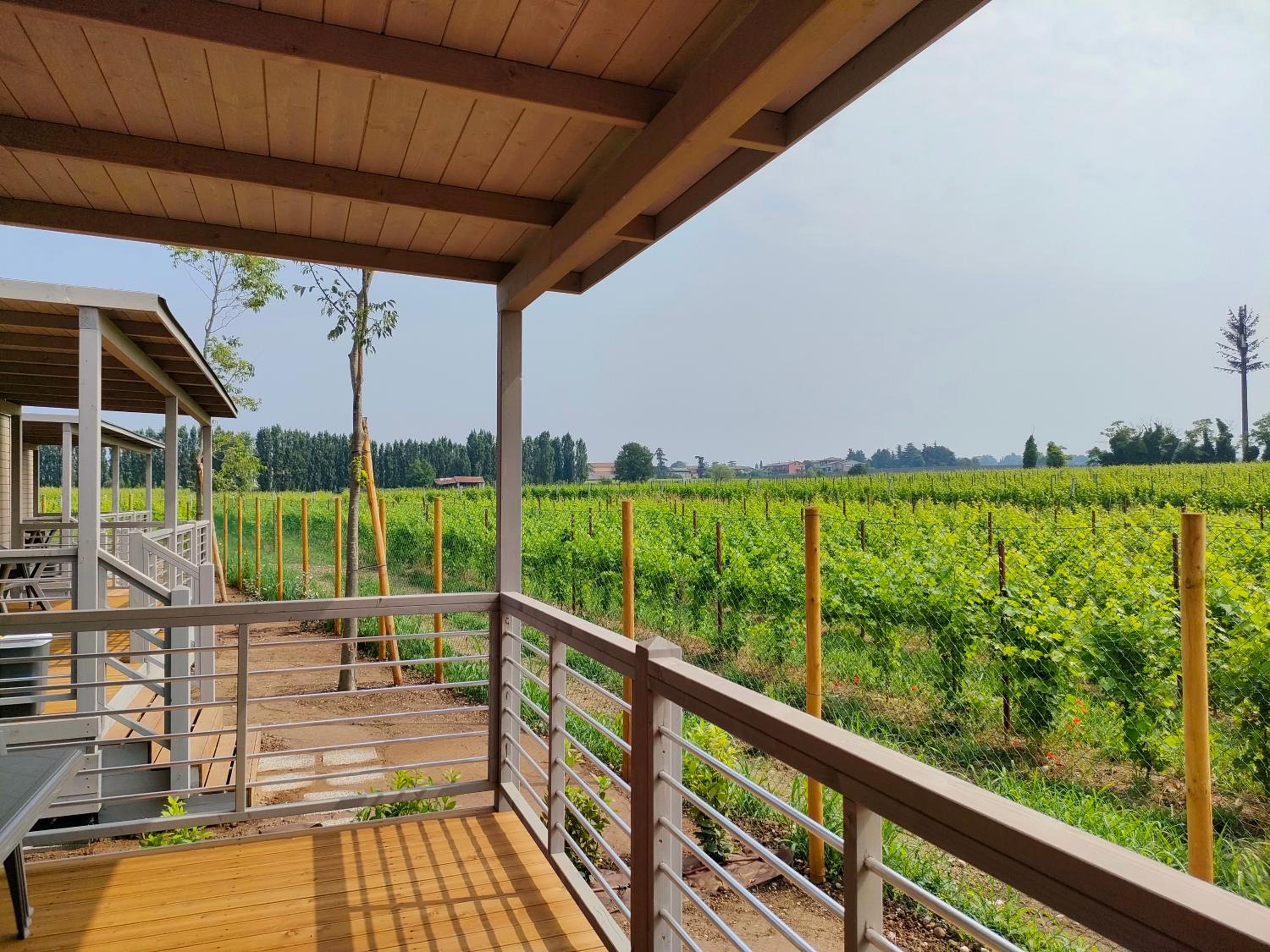 Garda Di Vino Agricamping & Wine Shop Lazise view 2