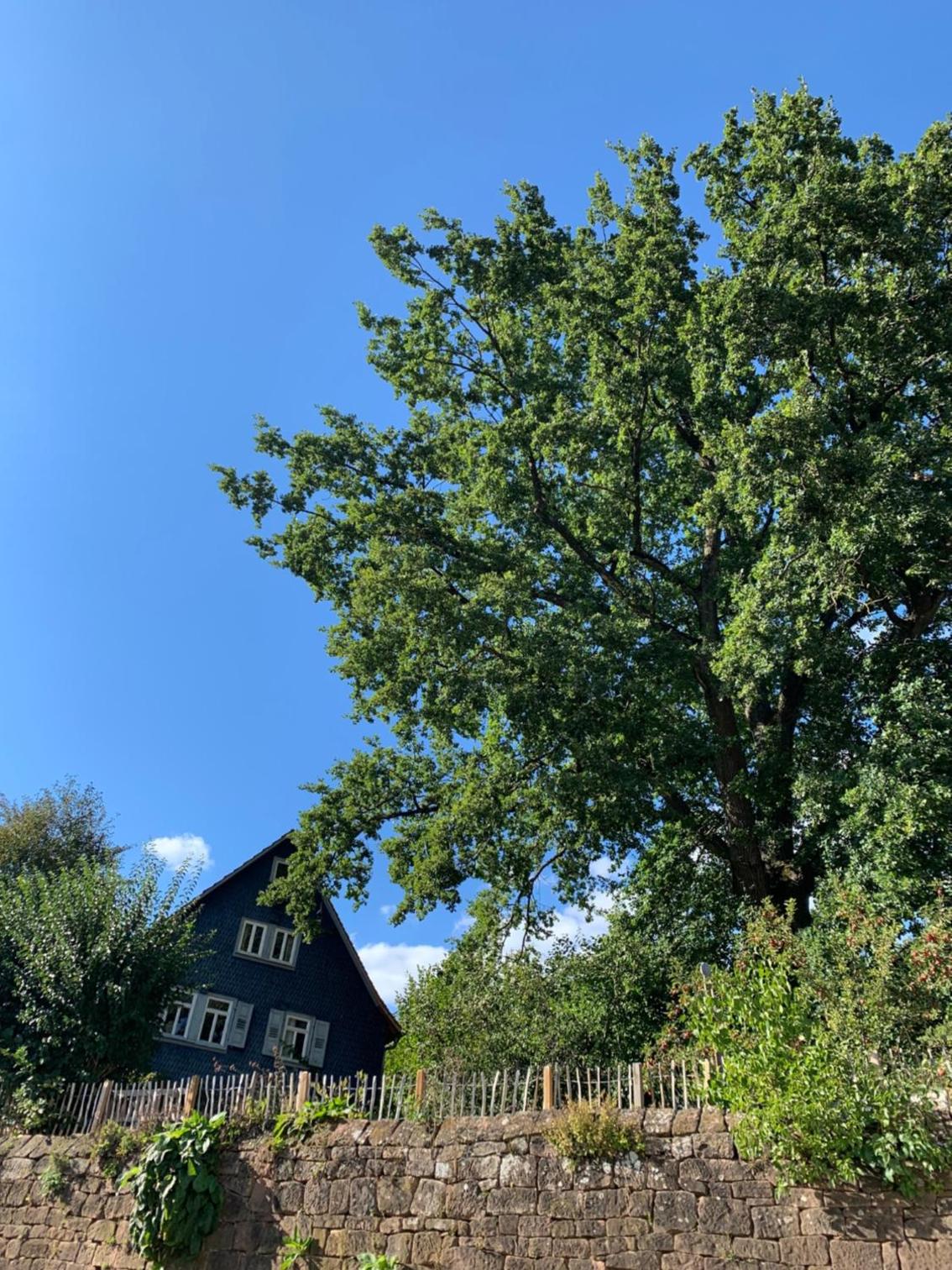 Nibelungen Odenwaldhaus