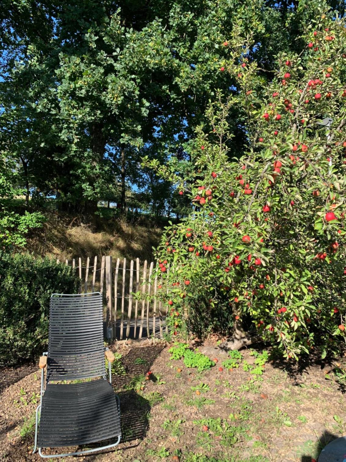 Nibelungen Odenwaldhaus