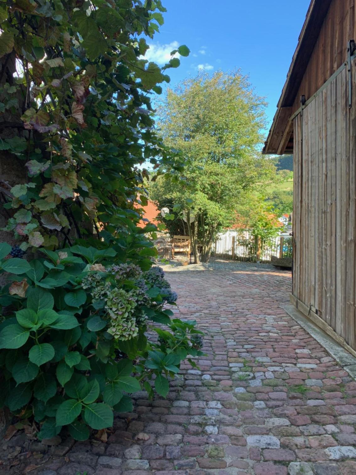 Nibelungen Odenwaldhaus
