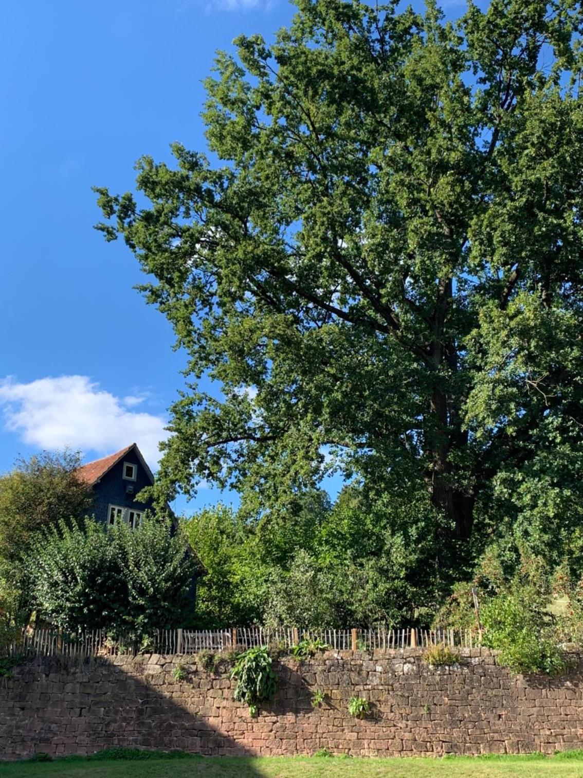 Nibelungen Odenwaldhaus