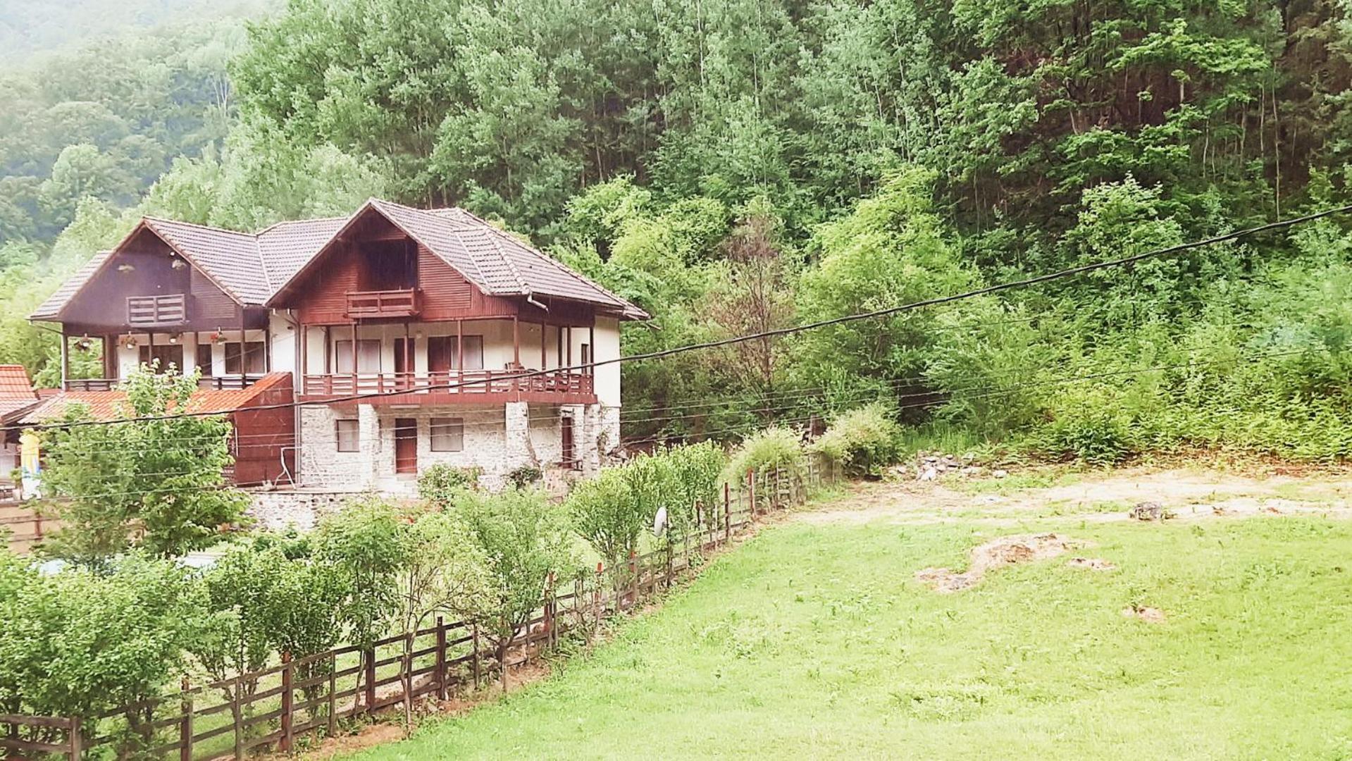 Photo 9