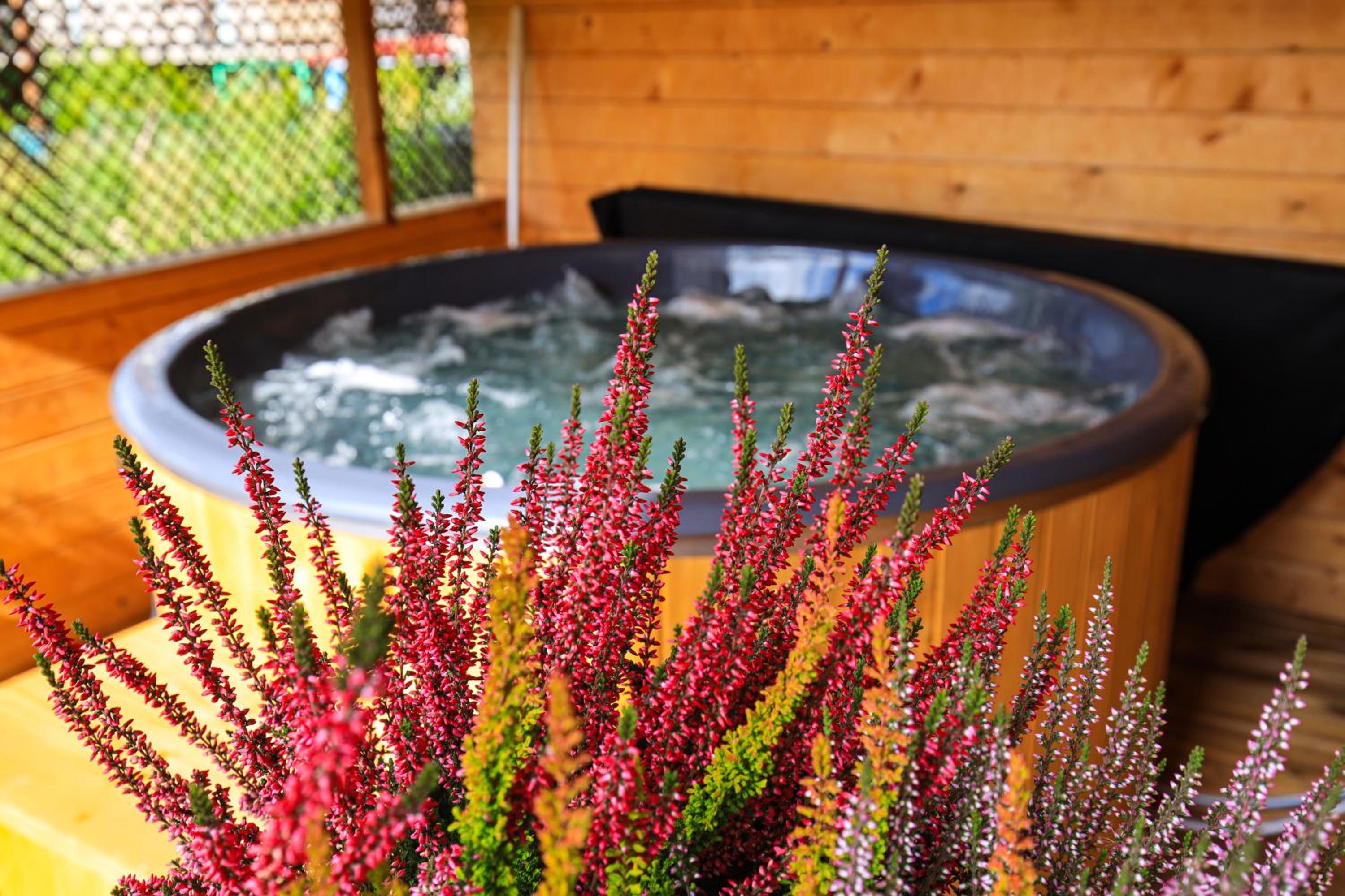 Apartamenty Na Przełaj - LUX - zewnętrzna sauna fińska i zewnętrzne gorące jacuzzi - cały rok! view 3