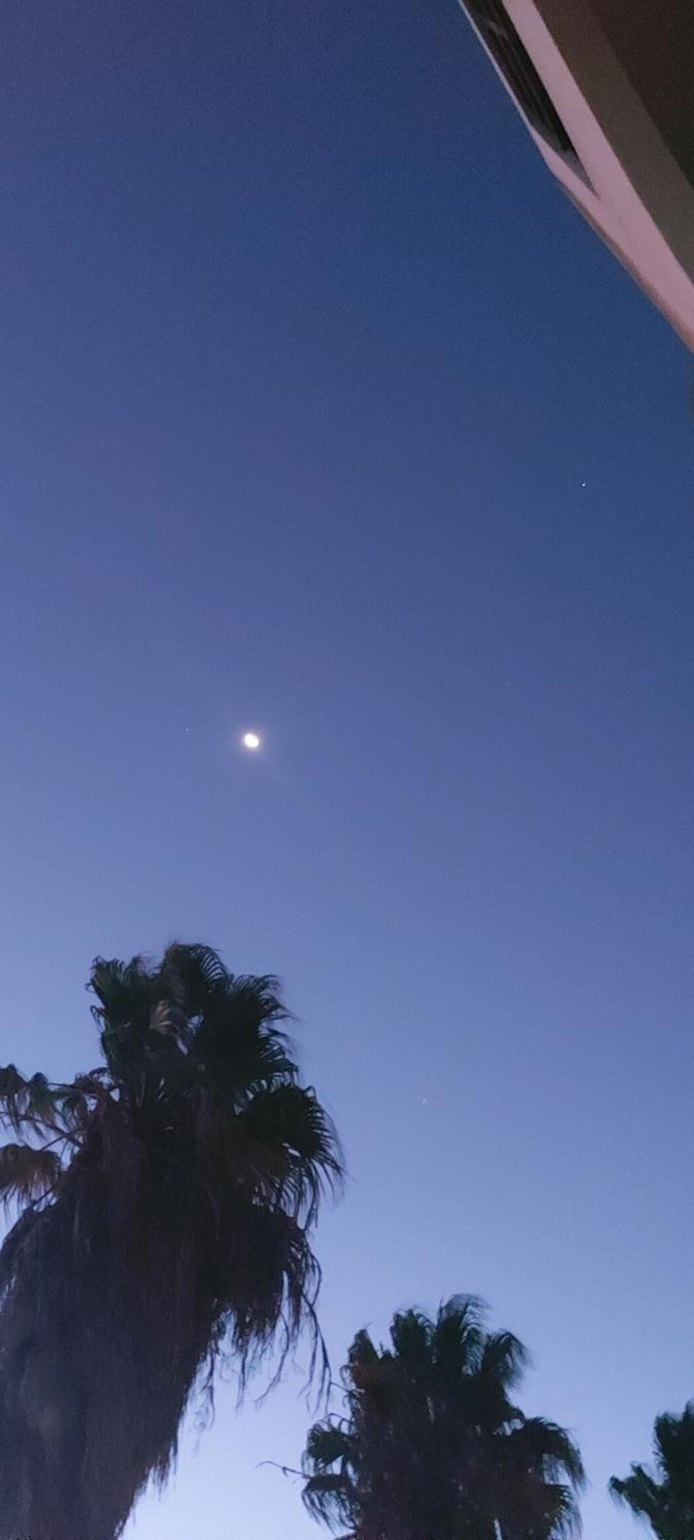 Photo 56