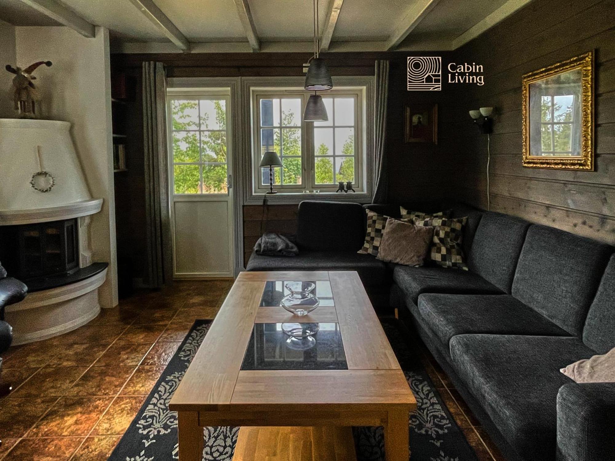 Great apartment in Trysil, ski inout, wifi, sauna view 2