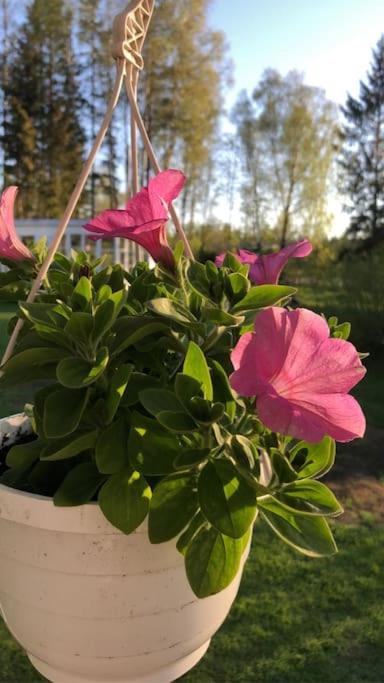 Photo 33