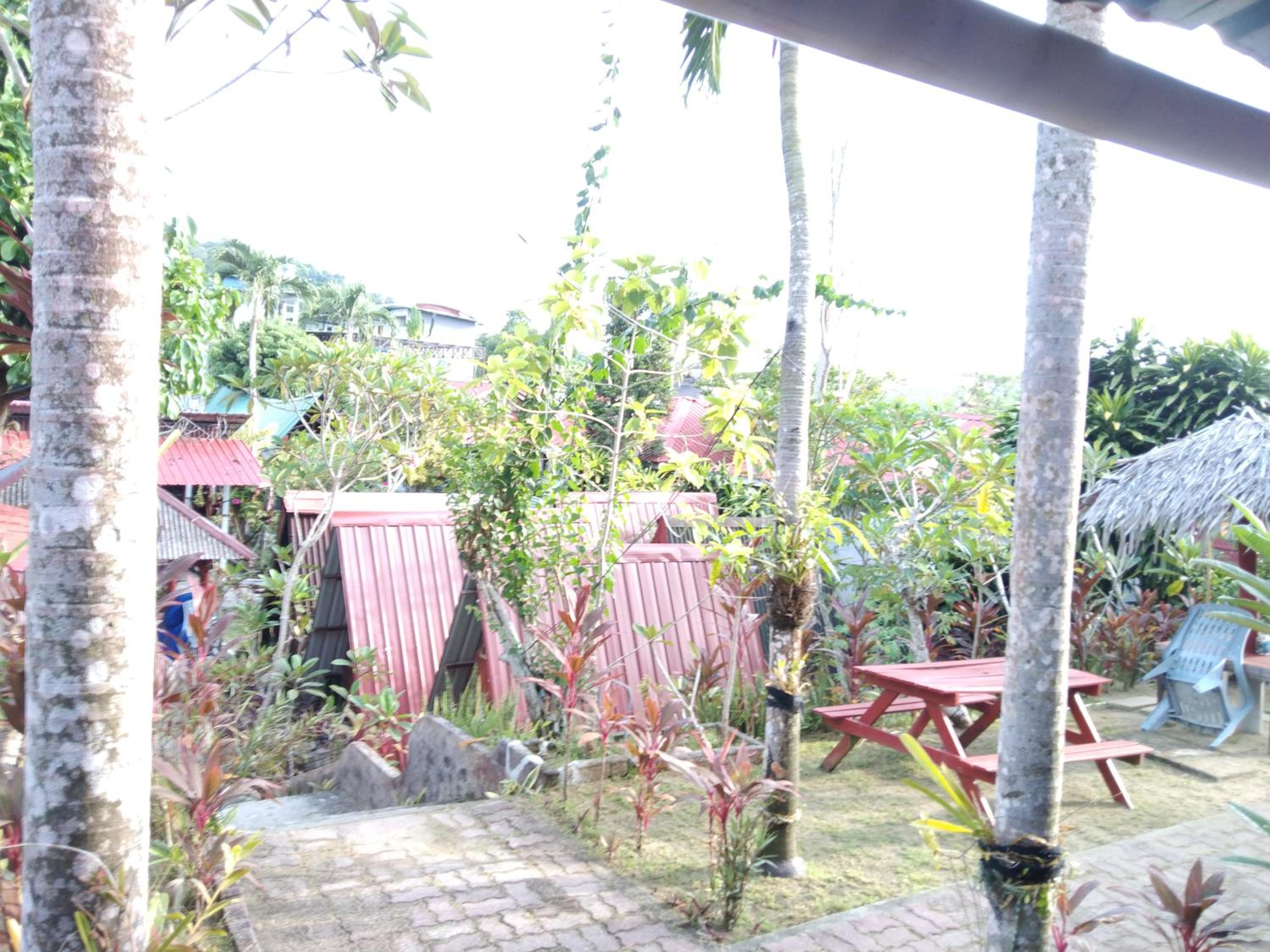 Nazri Nipah Camp Pangkor photo 3