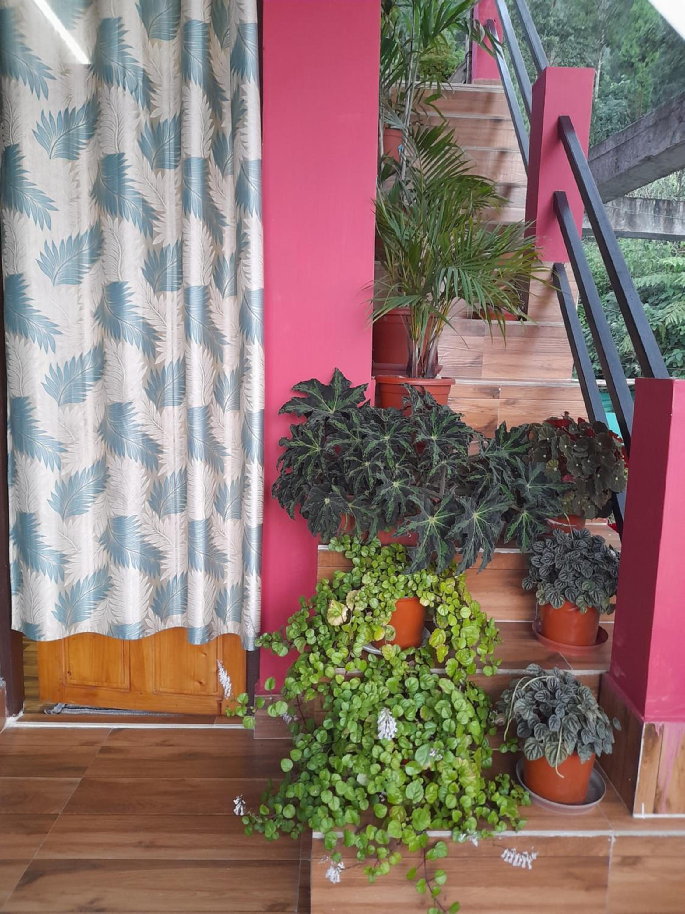 Pahar E Satyajit Homestay Ramdhura