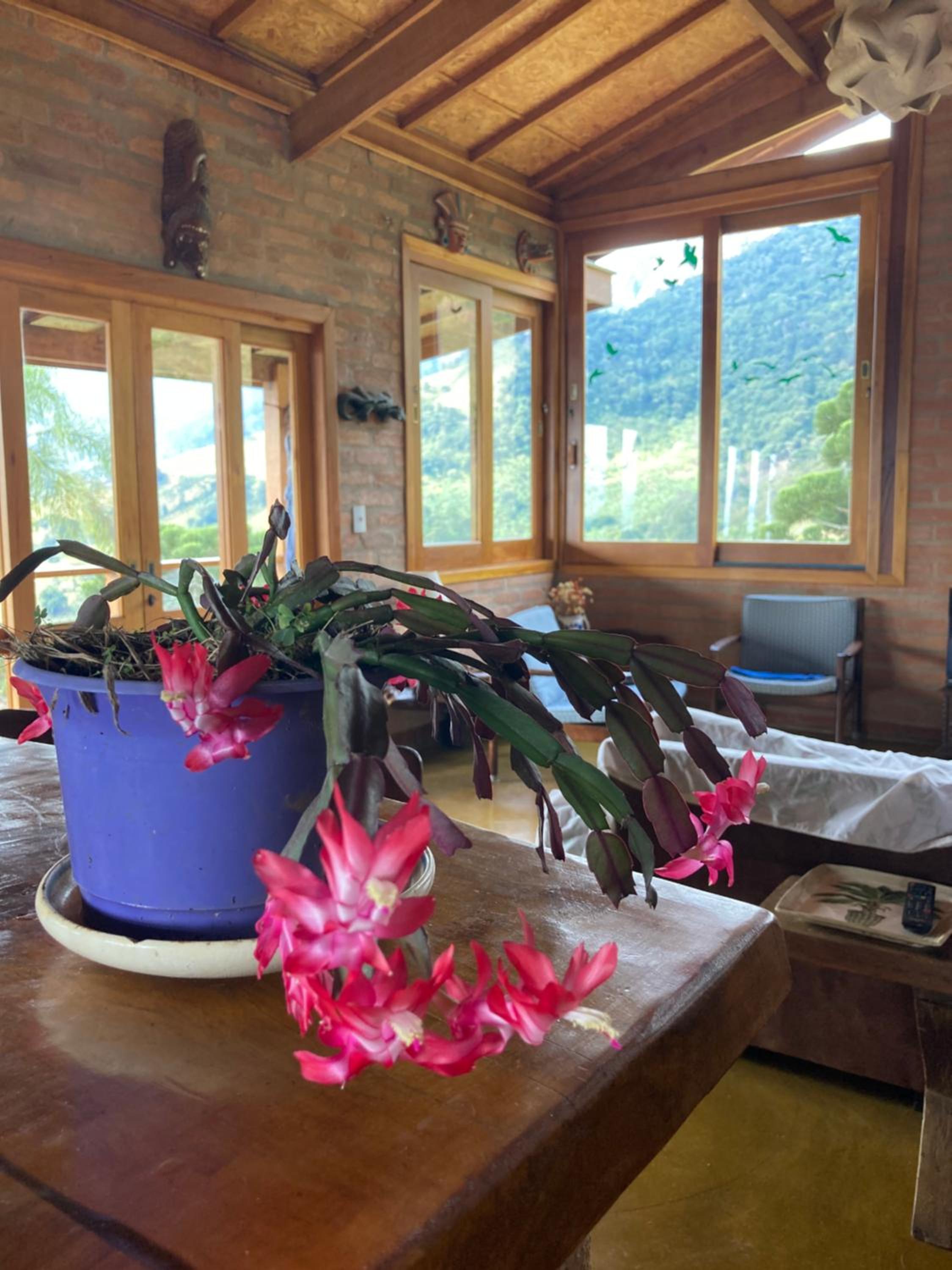 Baú’au House Unique View Family Comfort