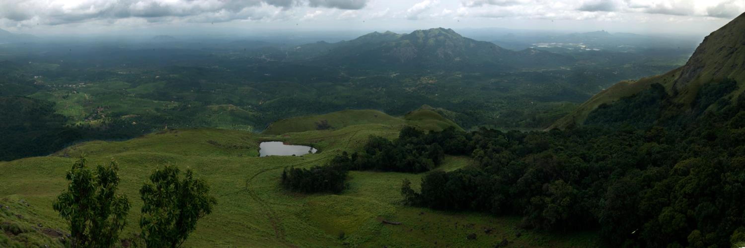 Grassroots Wayanad, Valley-view Tents