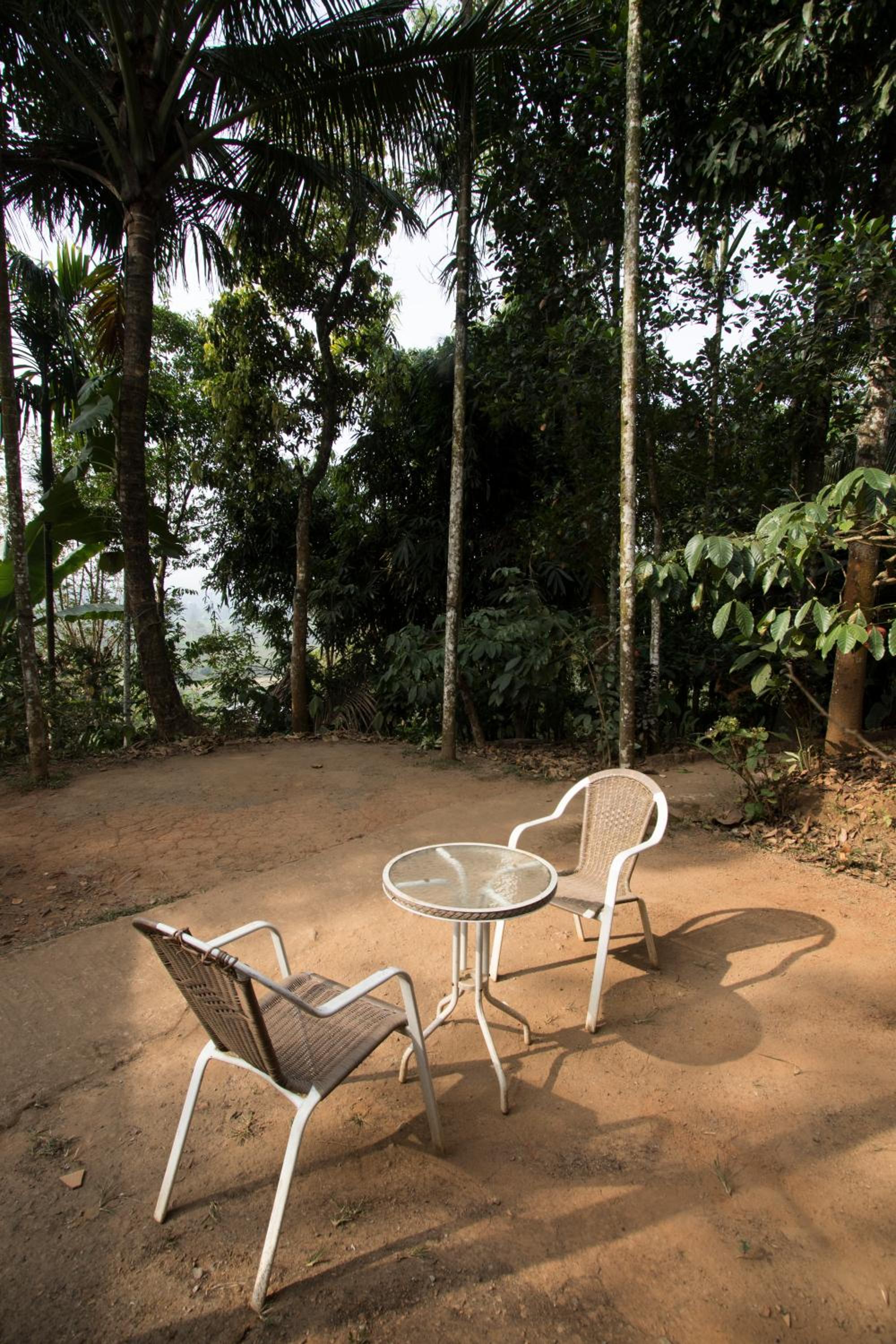 Grassroots Wayanad, Valley-view Tents