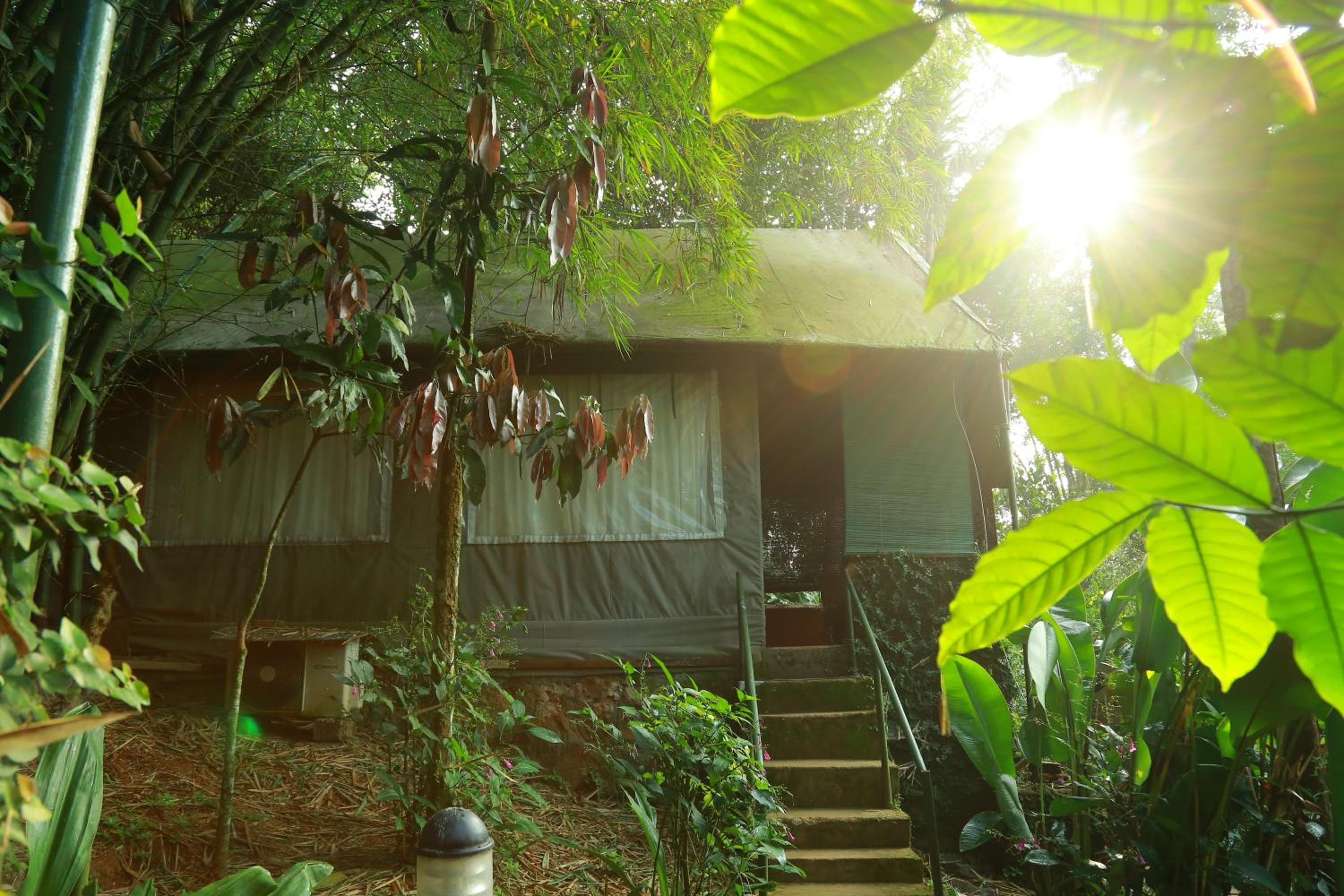 Grassroots Wayanad, Valley-view Tents