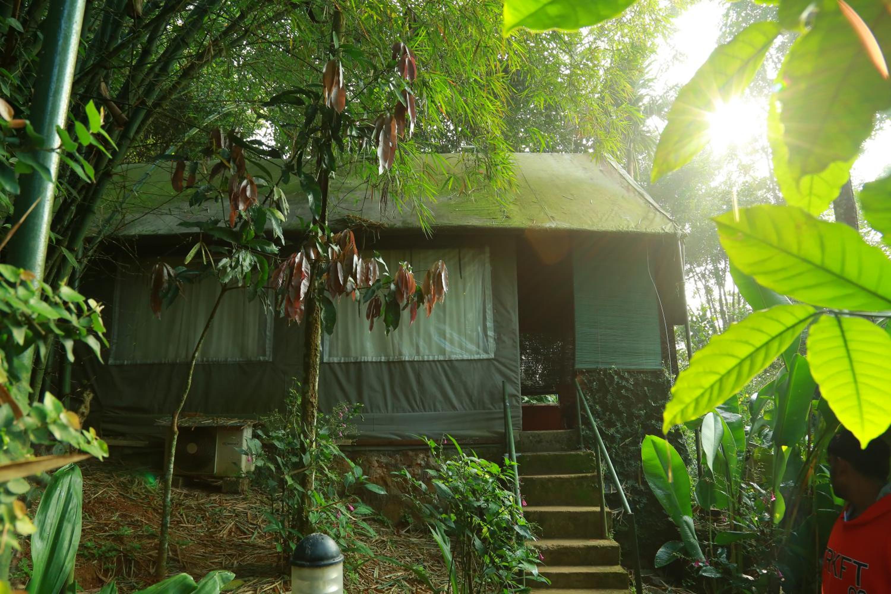 Grassroots Wayanad, Valley-view Tents