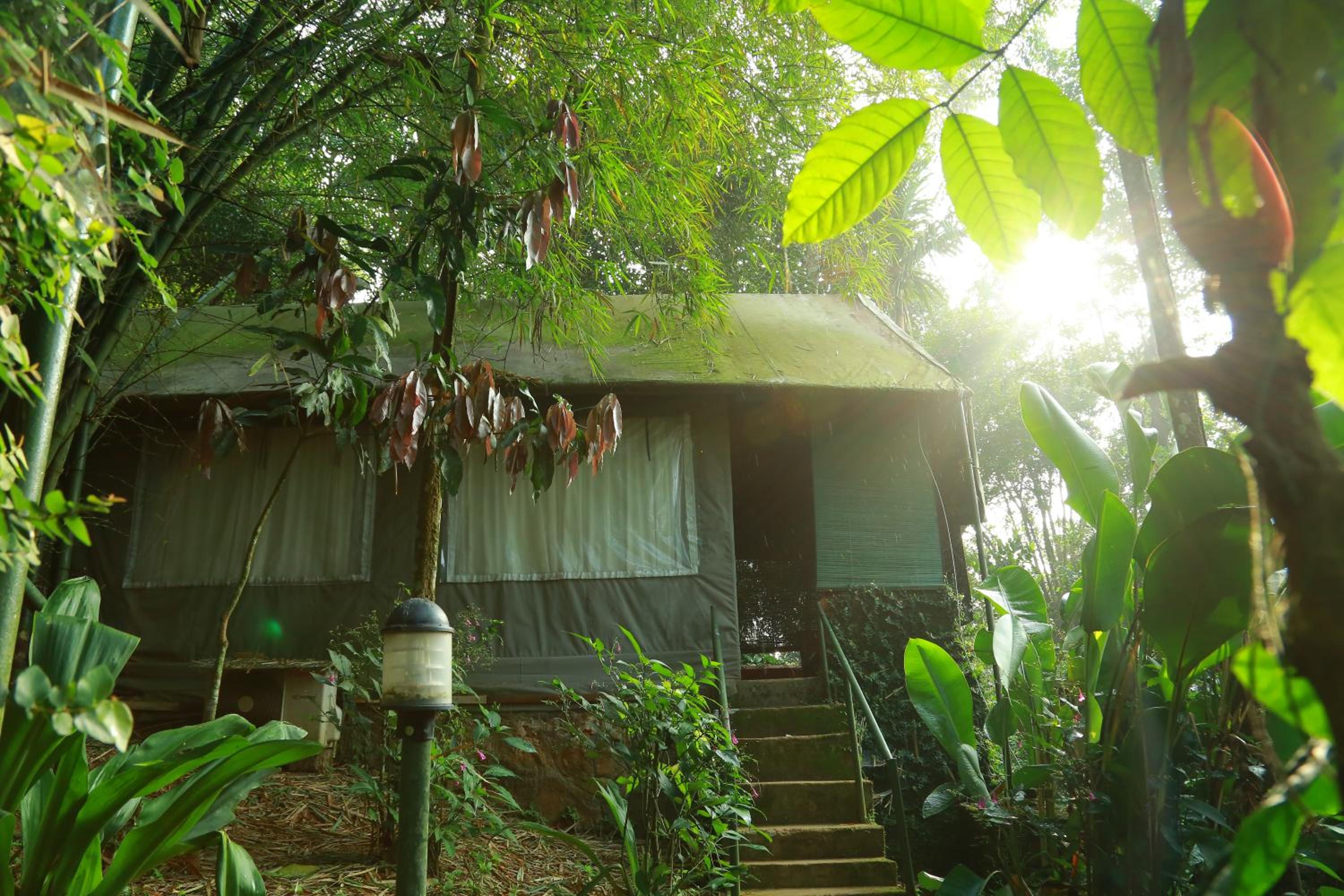 Grassroots Wayanad, Valley-view Tents
