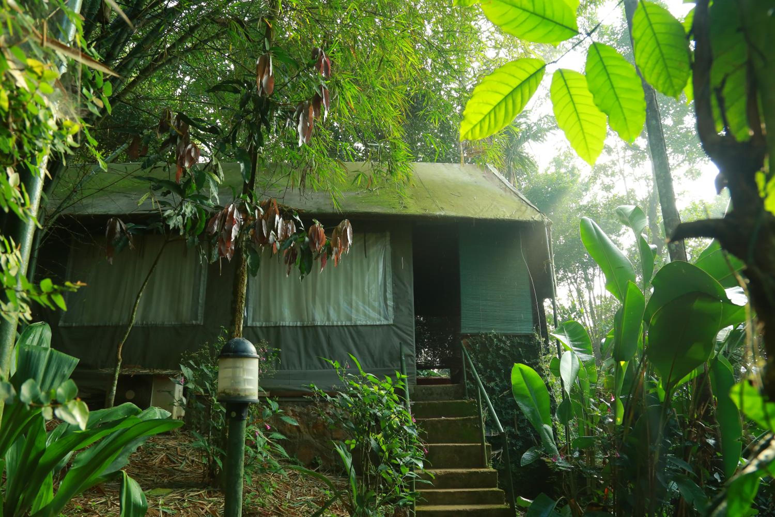 Grassroots Wayanad, Valley-view Tents
