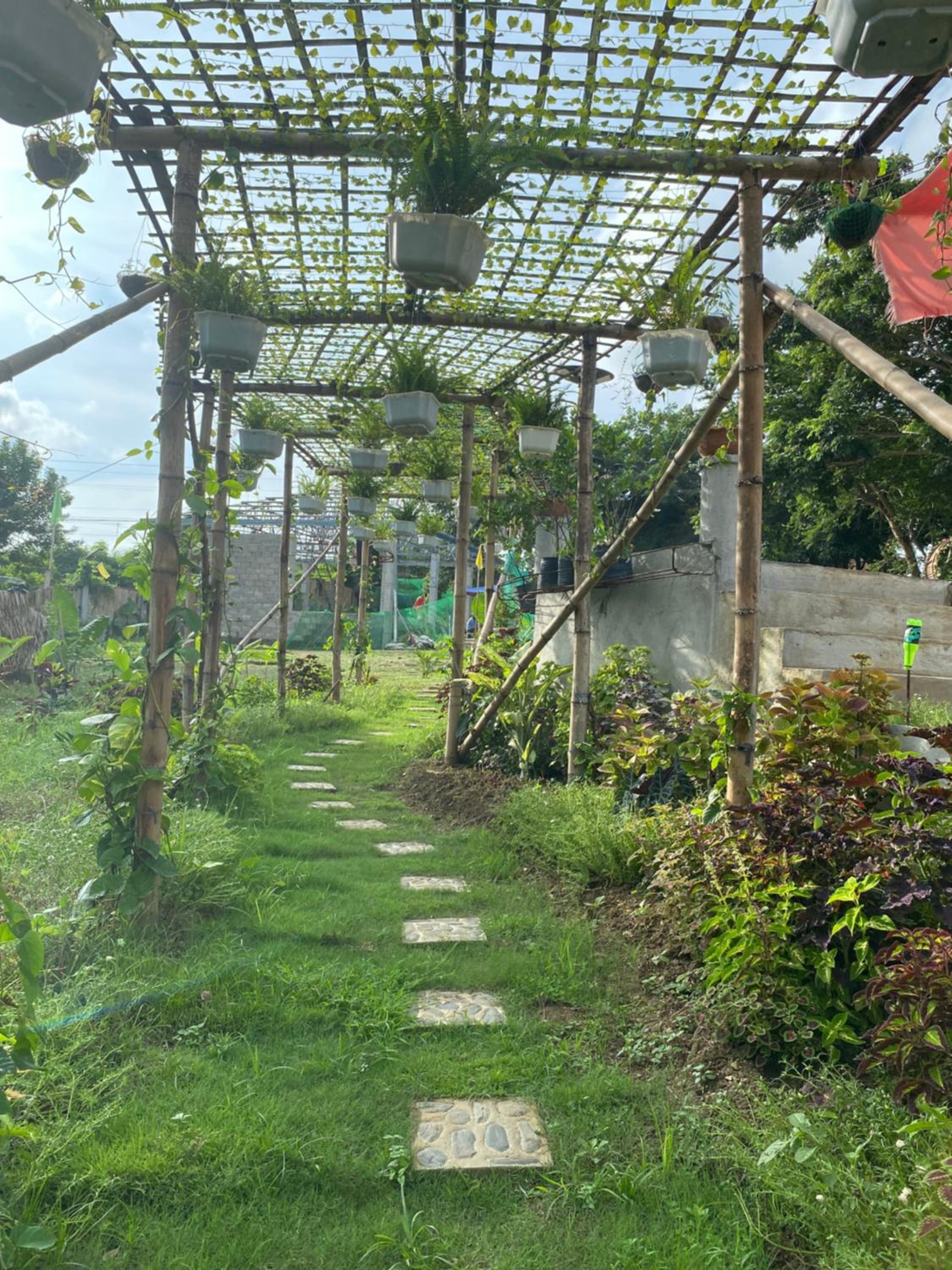 Photo 26