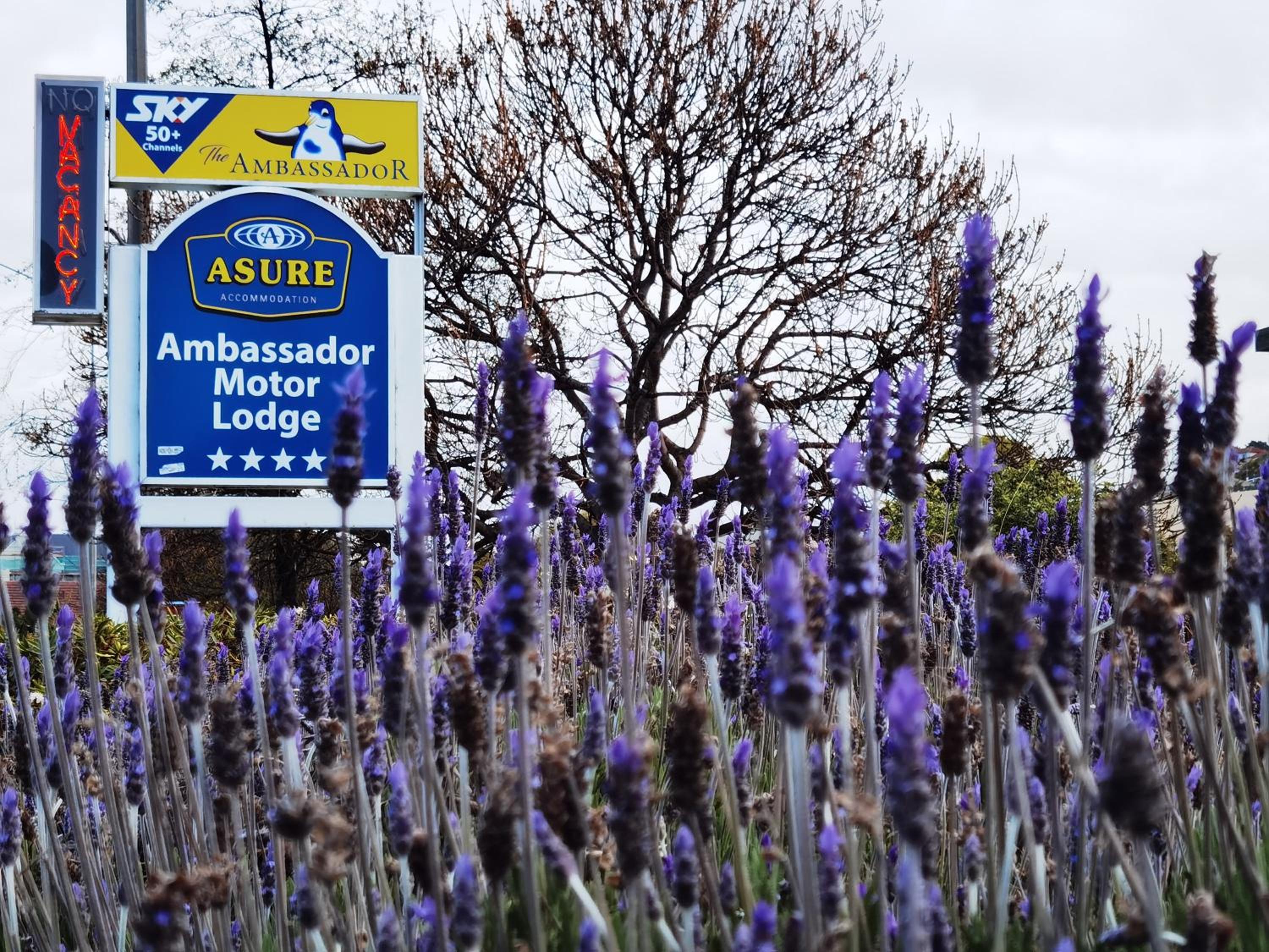 ASURE Ambassador Motor Lodge