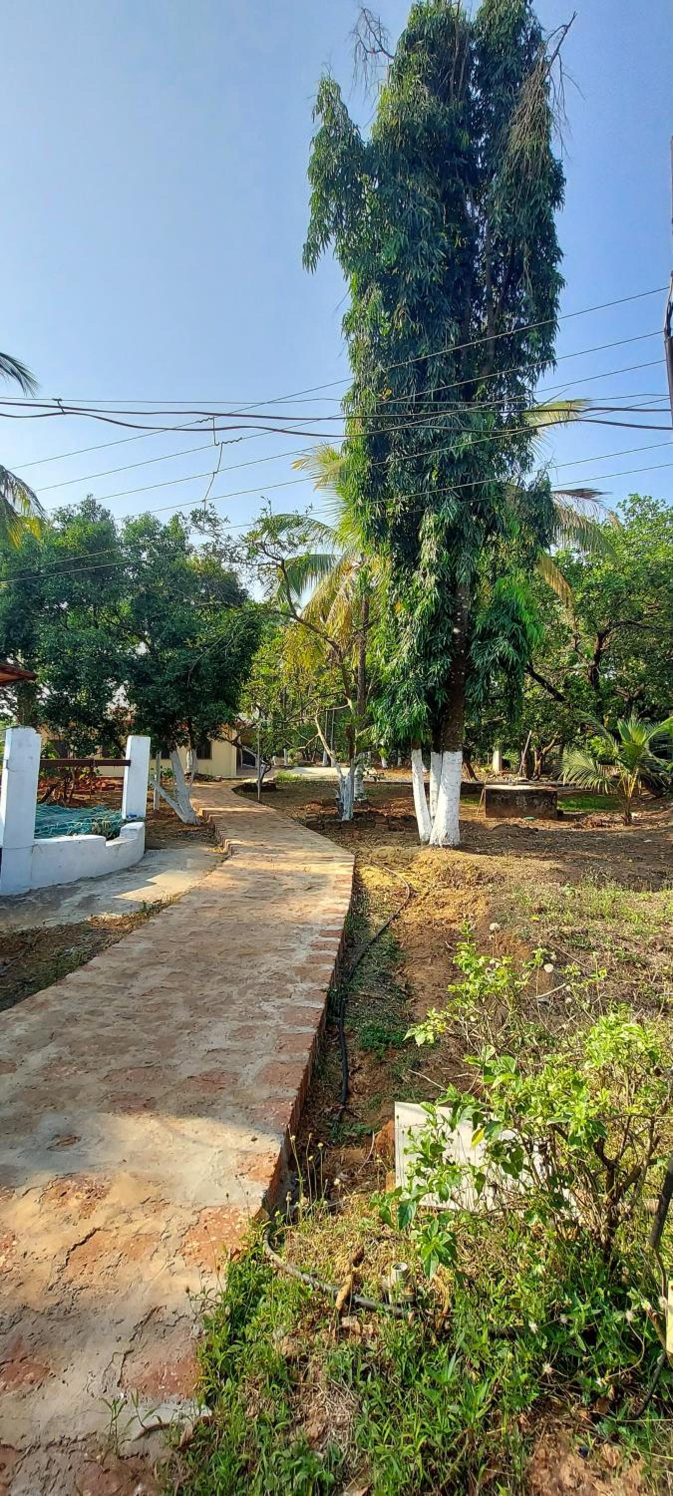 Sneha Farm House view 4