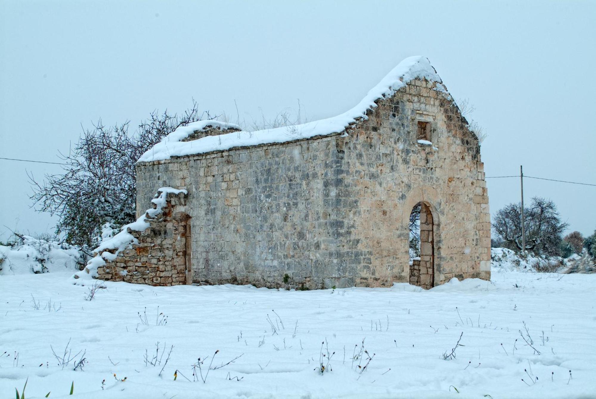 Photo 42