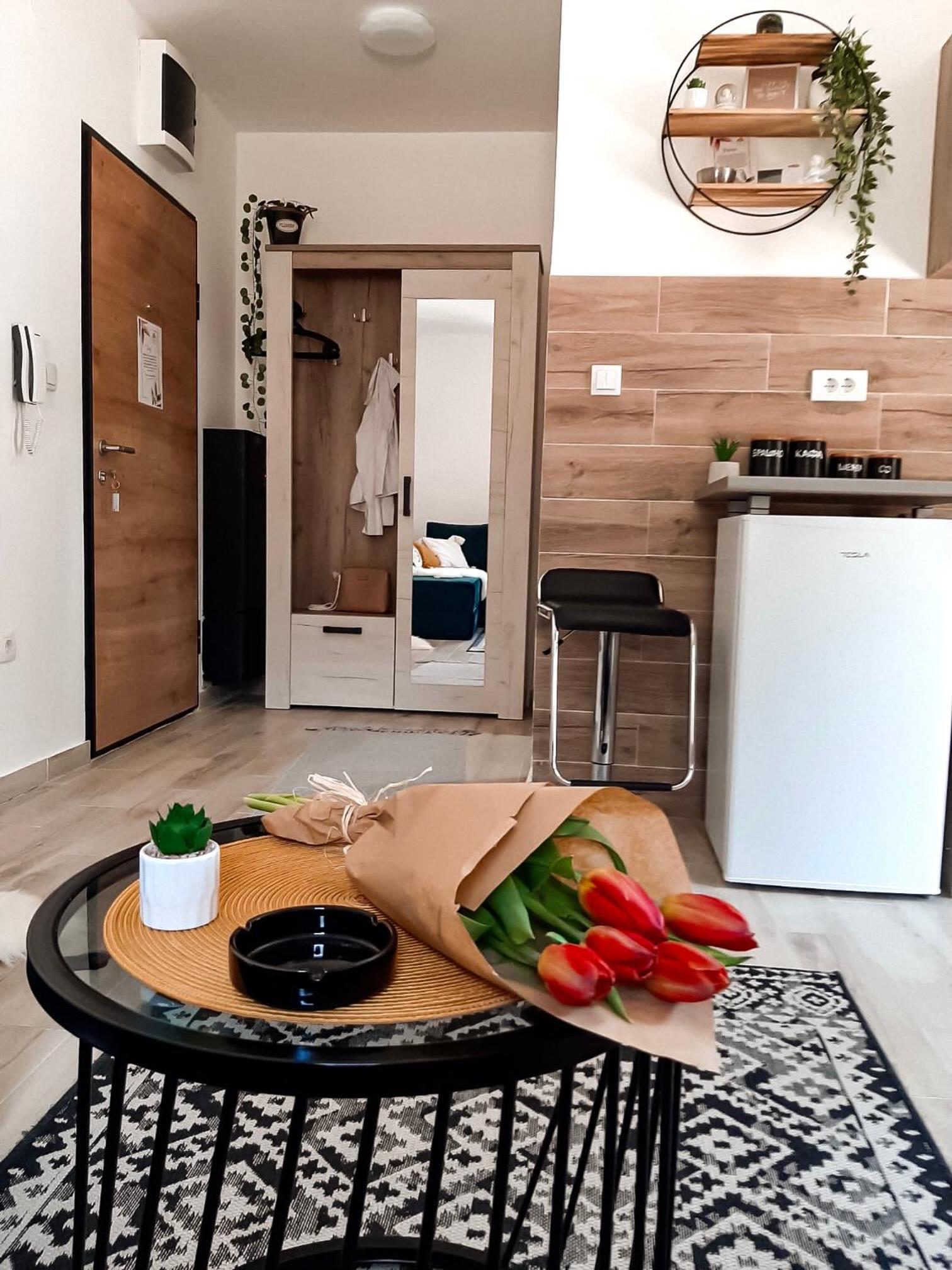 Apartman TRAG Divčibare view 4