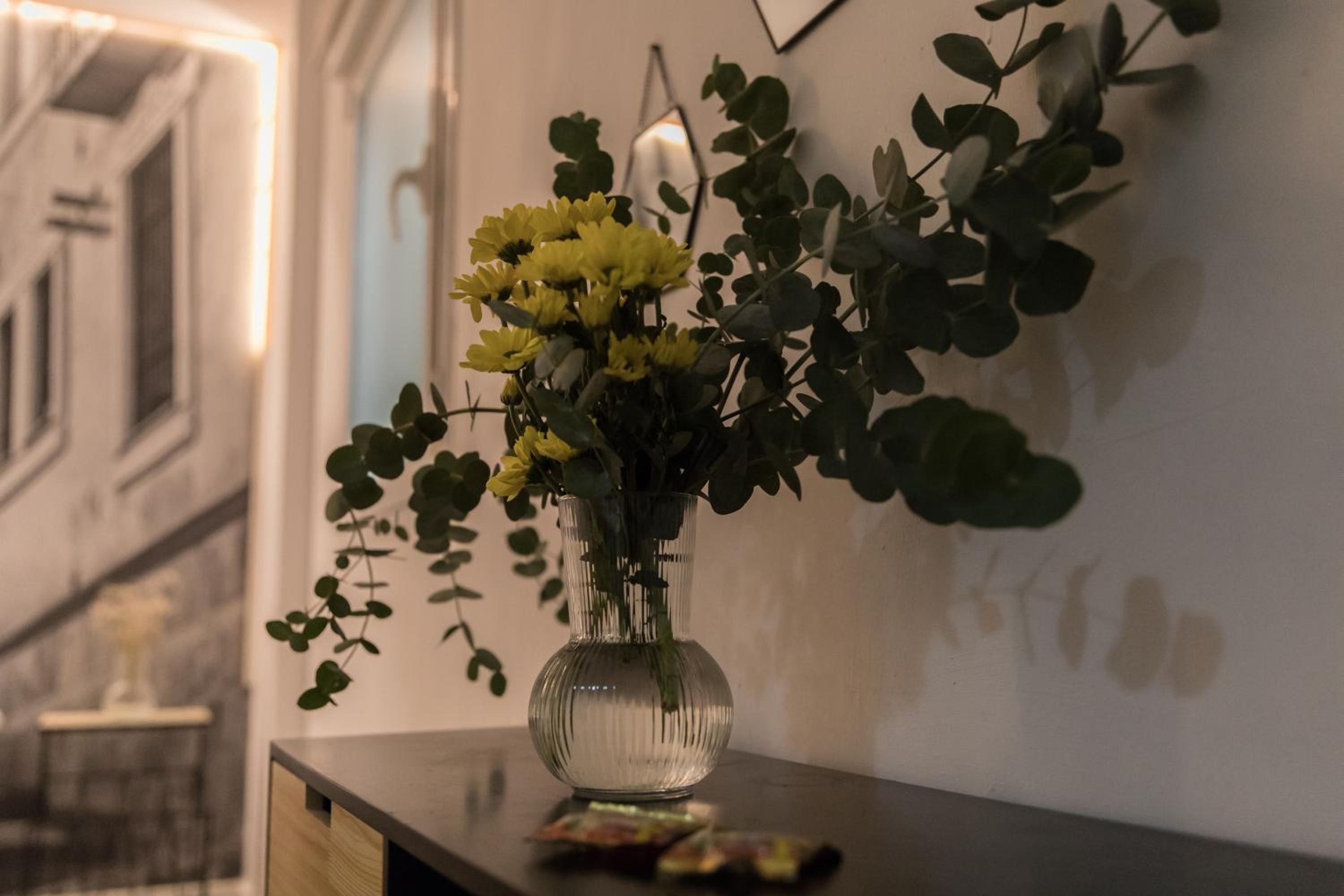 Rooms Vita