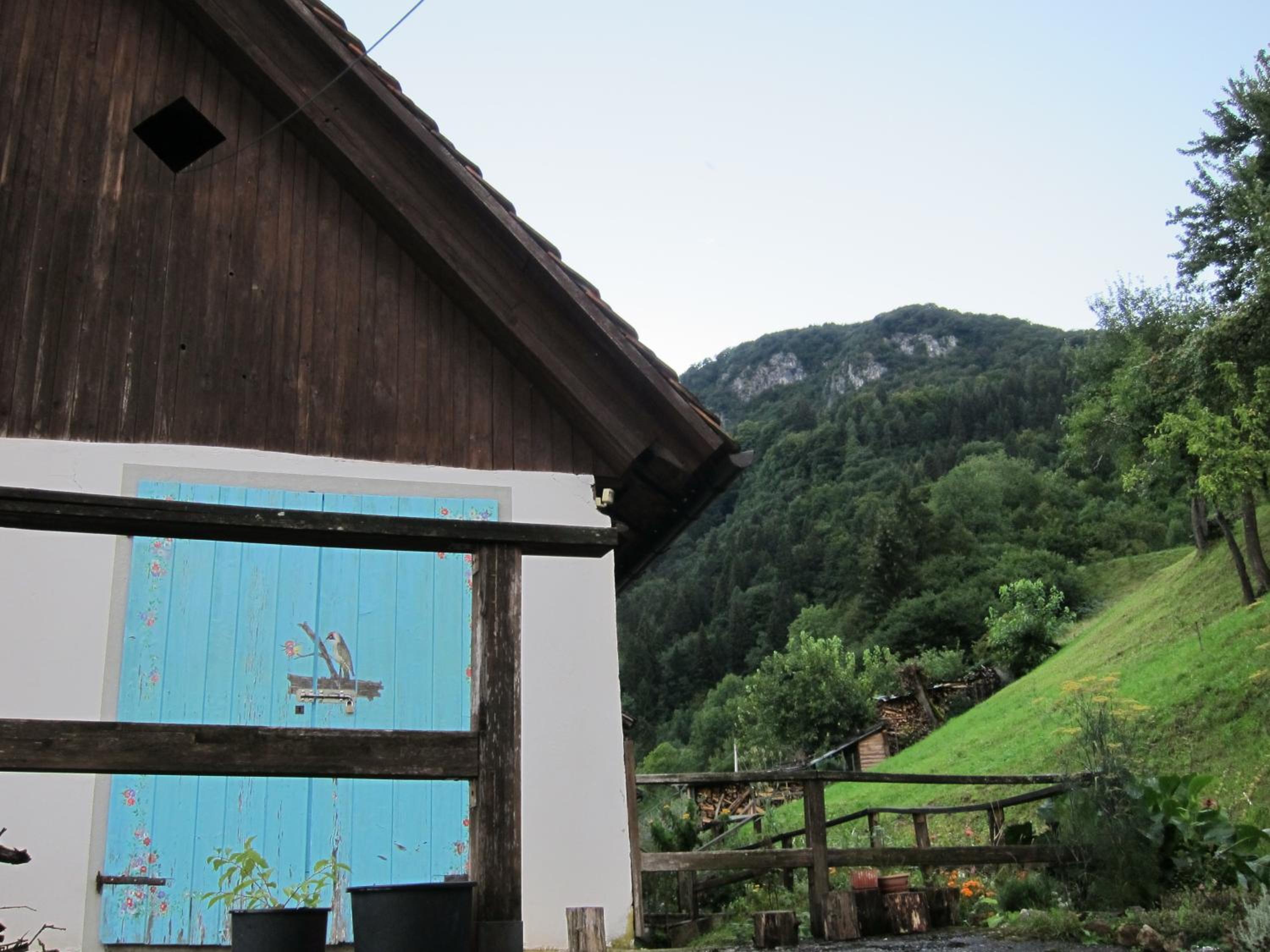 Di Baut view 5