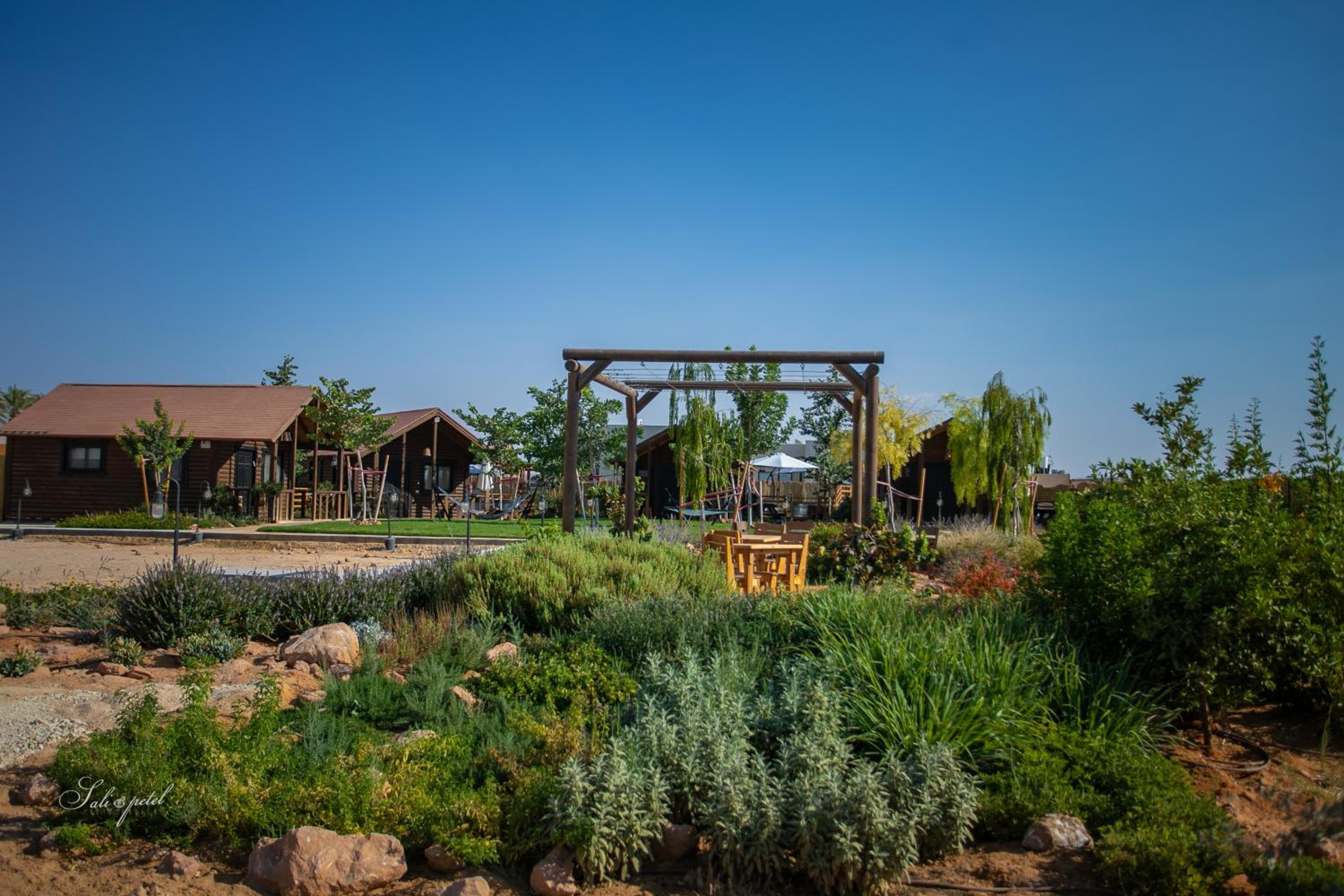 ווילו בערבה view 2