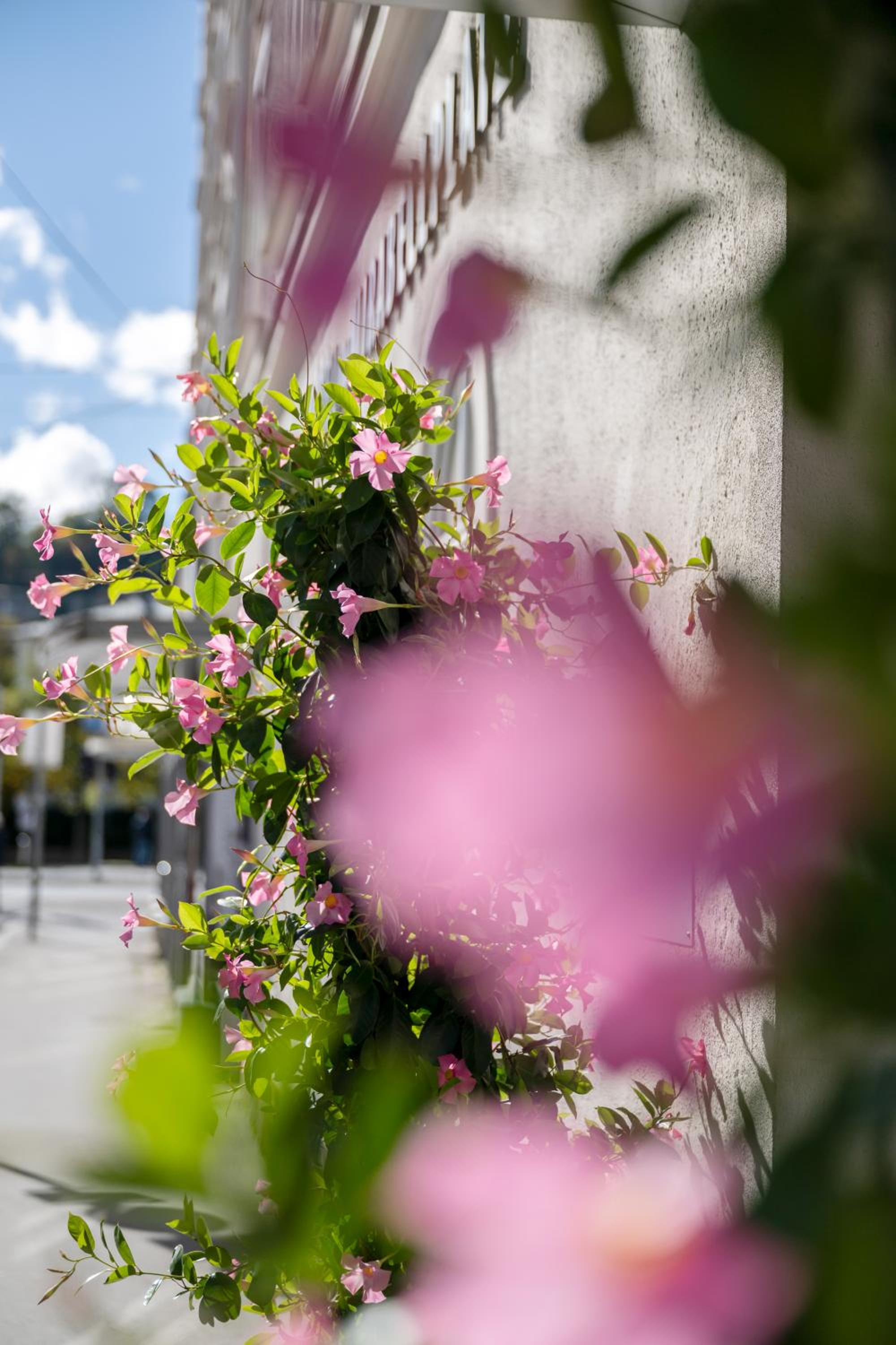 Salzburg Vacations - Hotel am Mirabellplatz - Property Image 17